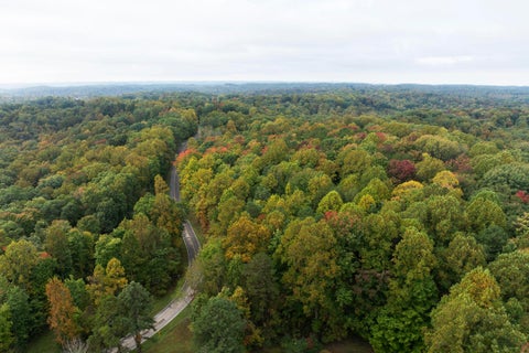 Tiny photo for 20554 Thompson Ridge Road, Laurelville, OH 43135 (MLS # 226039049)