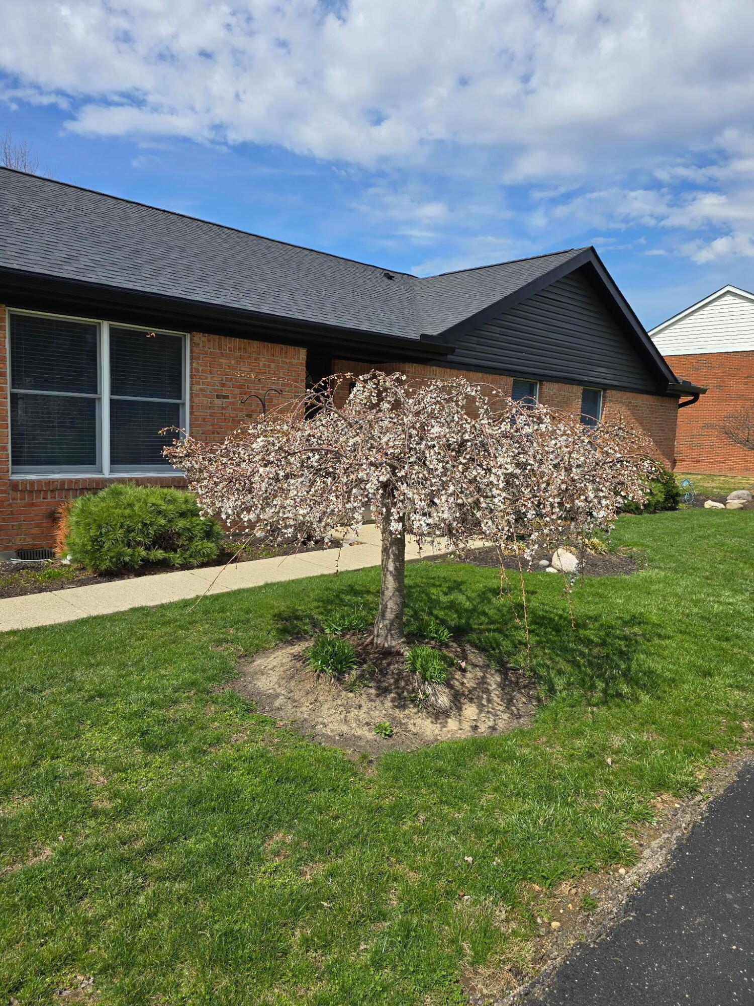 5341 Harveysburg Road, Waynesville, Ohio image 1