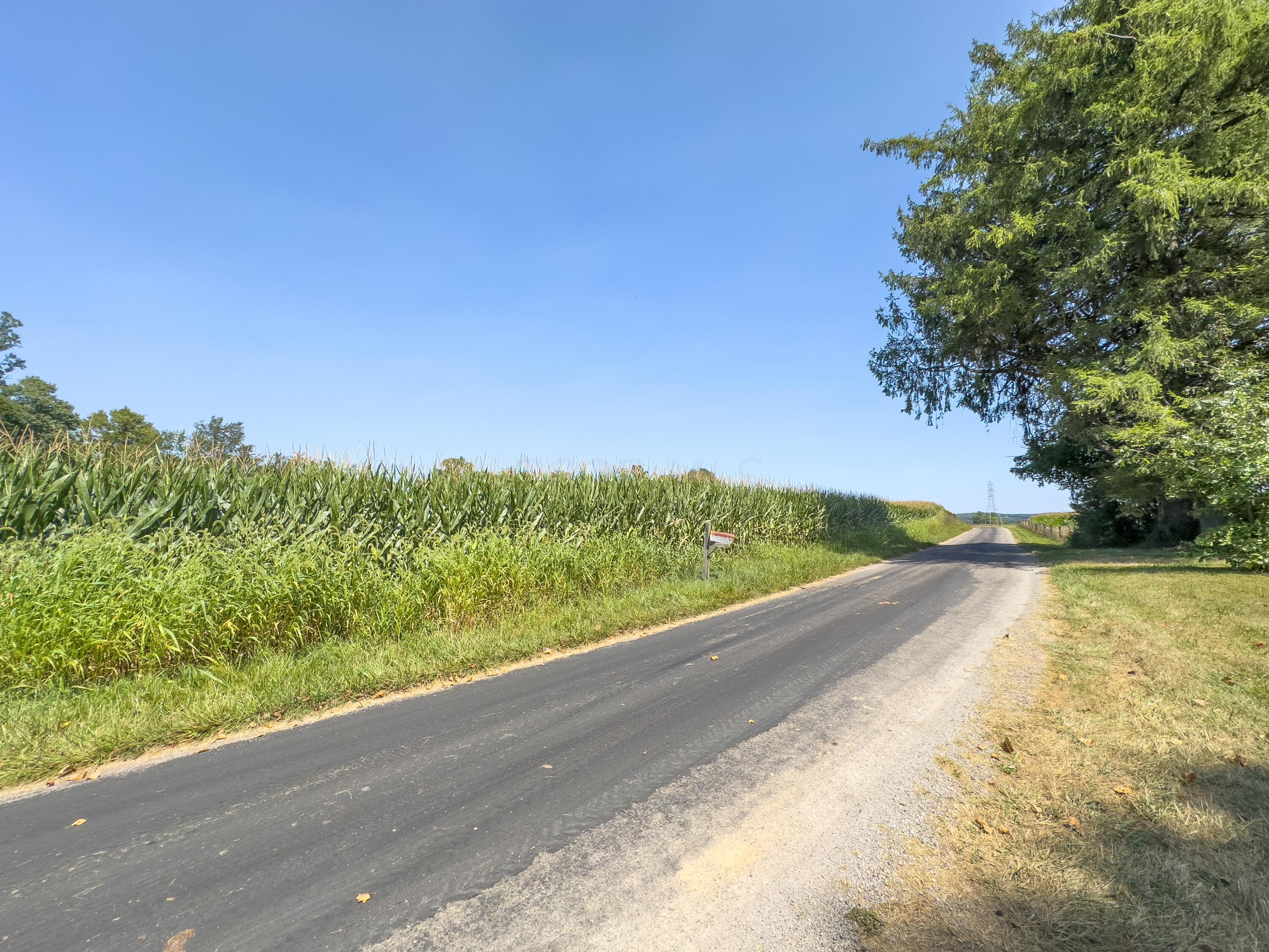 6 Acres Culbertson Road, Zanesville, Ohio image 8