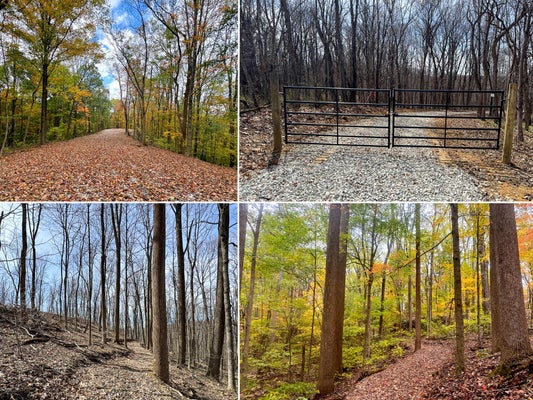 TWP RD 411 A, GLENFORD, OH 43739 - Image c140b59caae61b79a103df2b9d12fee8/2111301518