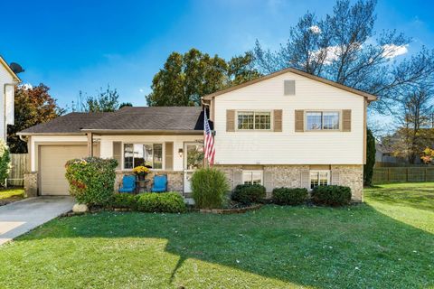 Photo of 3205 Mahaffey Court, Pickerington, OH 43147 (MLS # 225040061)