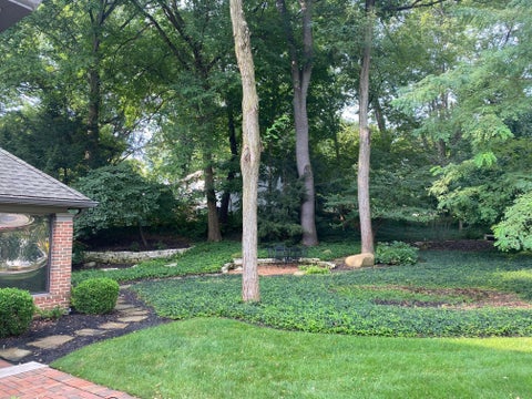 Tiny photo for 455 Meacham Run Court, Westerville, OH 43081 (MLS # 226035733)