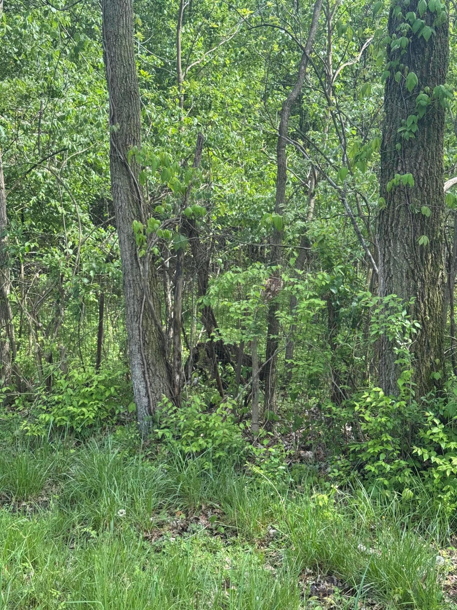 Milford Avenue #LOT 37, Columbus, Ohio image 1