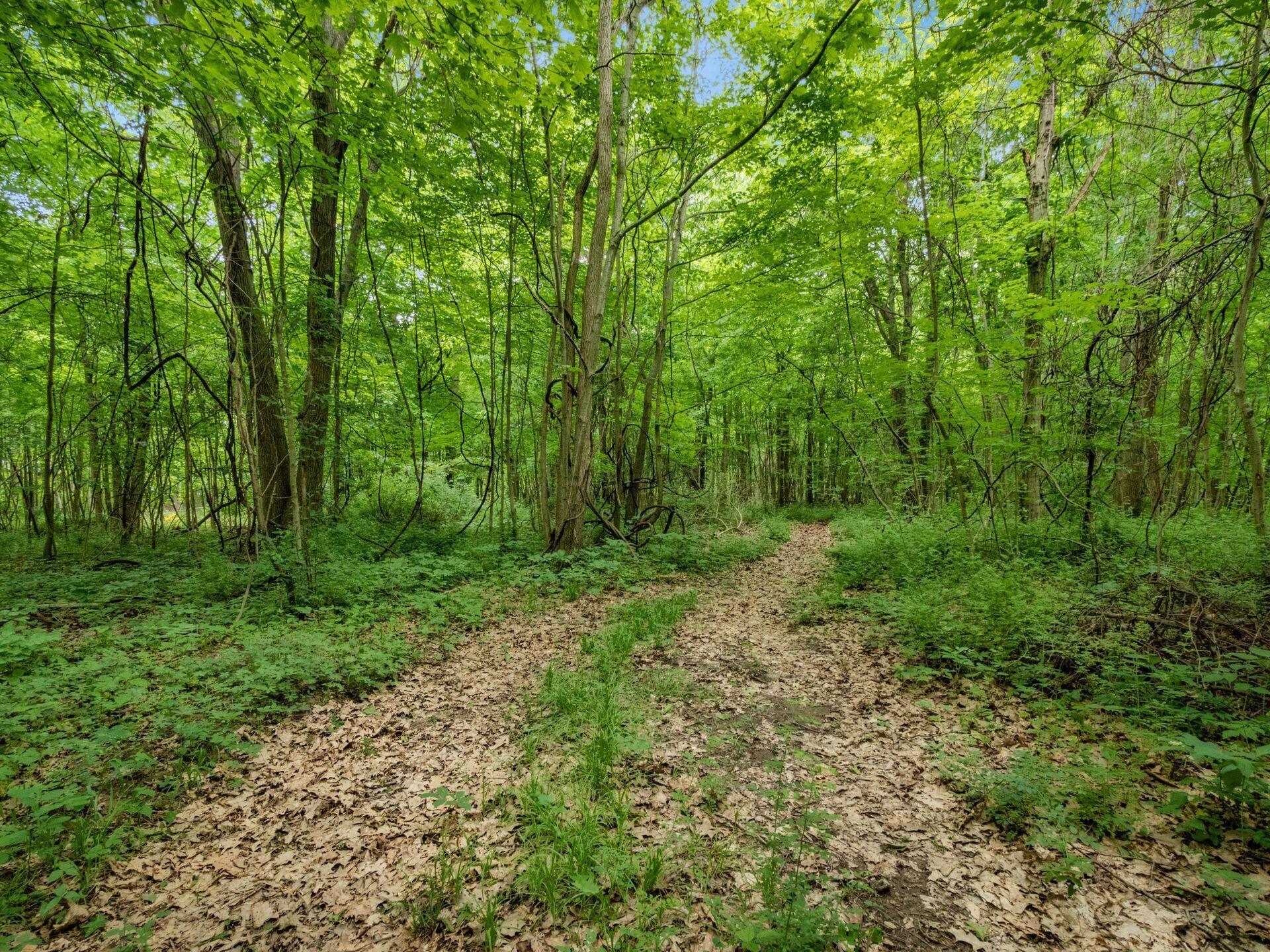 4015 County Road 25, Cardington, Ohio image 34