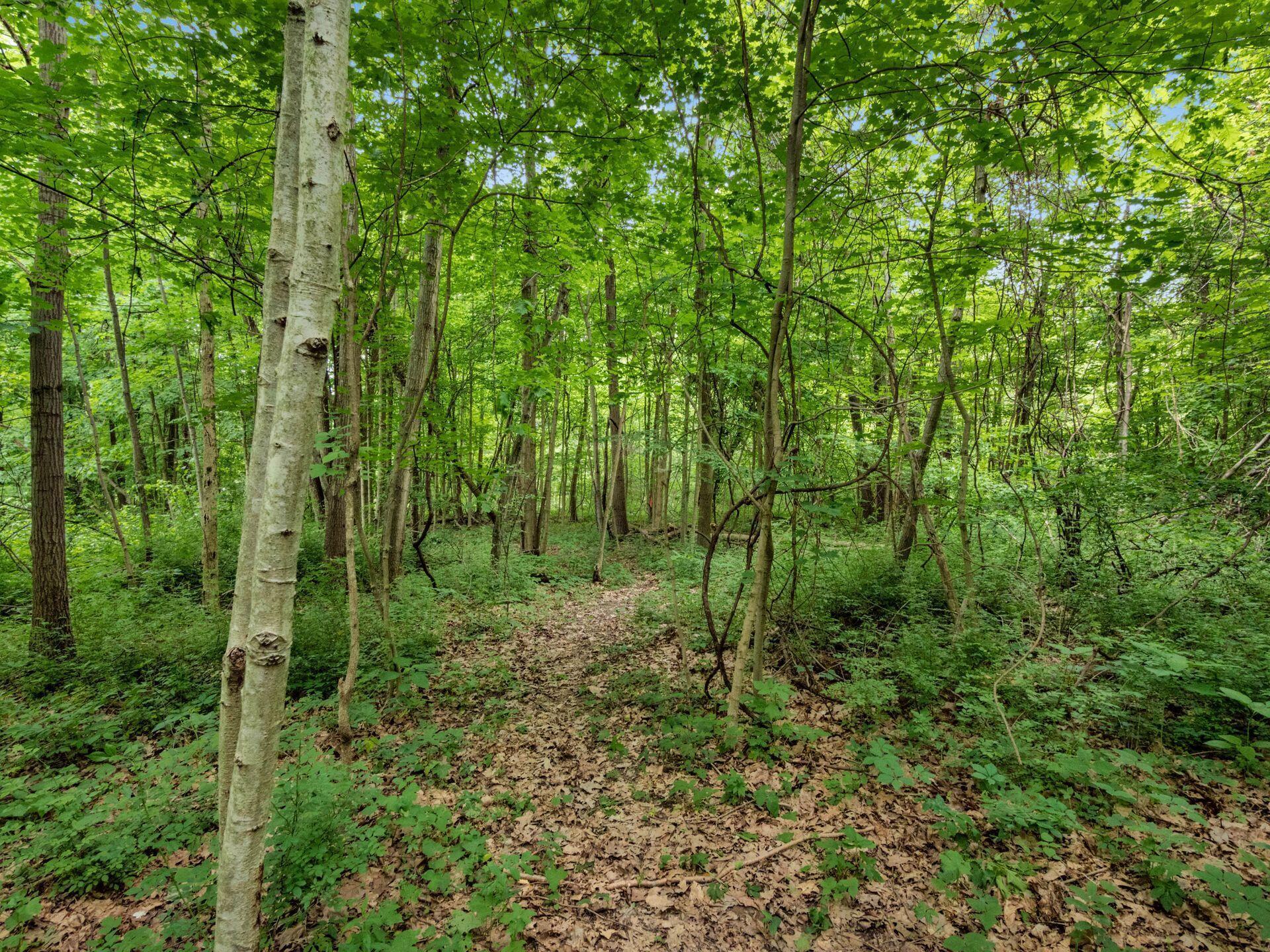 4015 County Road 25, Cardington, Ohio image 5