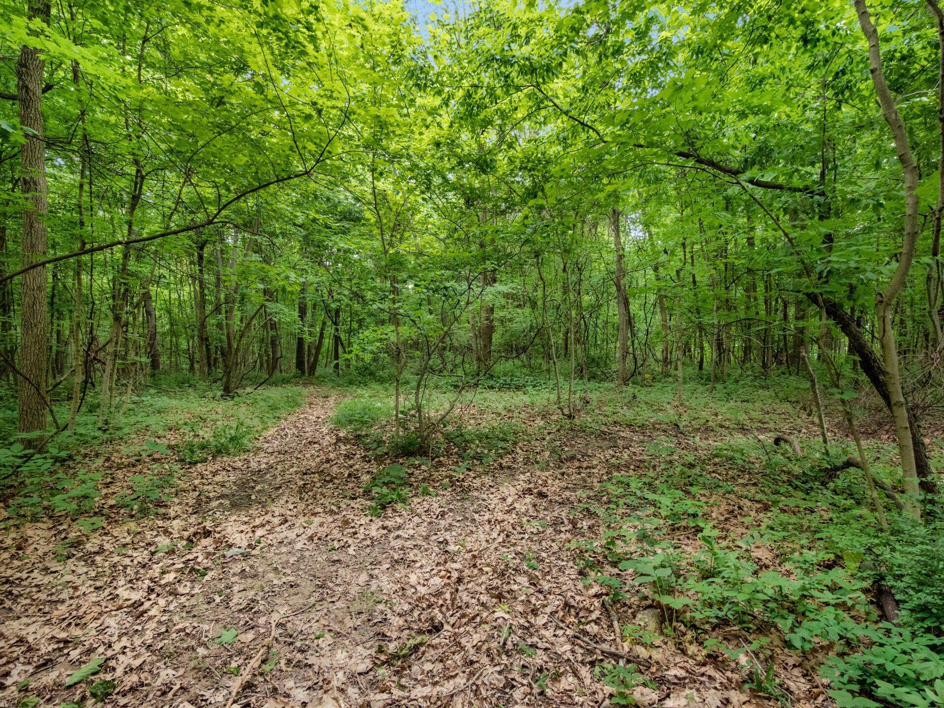 4015 County Road 25, Cardington, Ohio image 4