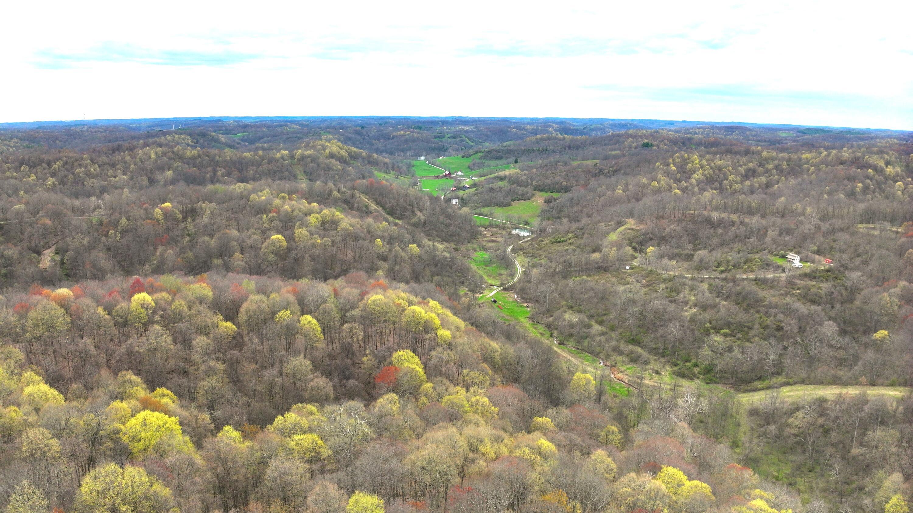32150 Devoe Ridge Road, Lewisville, Ohio image 2