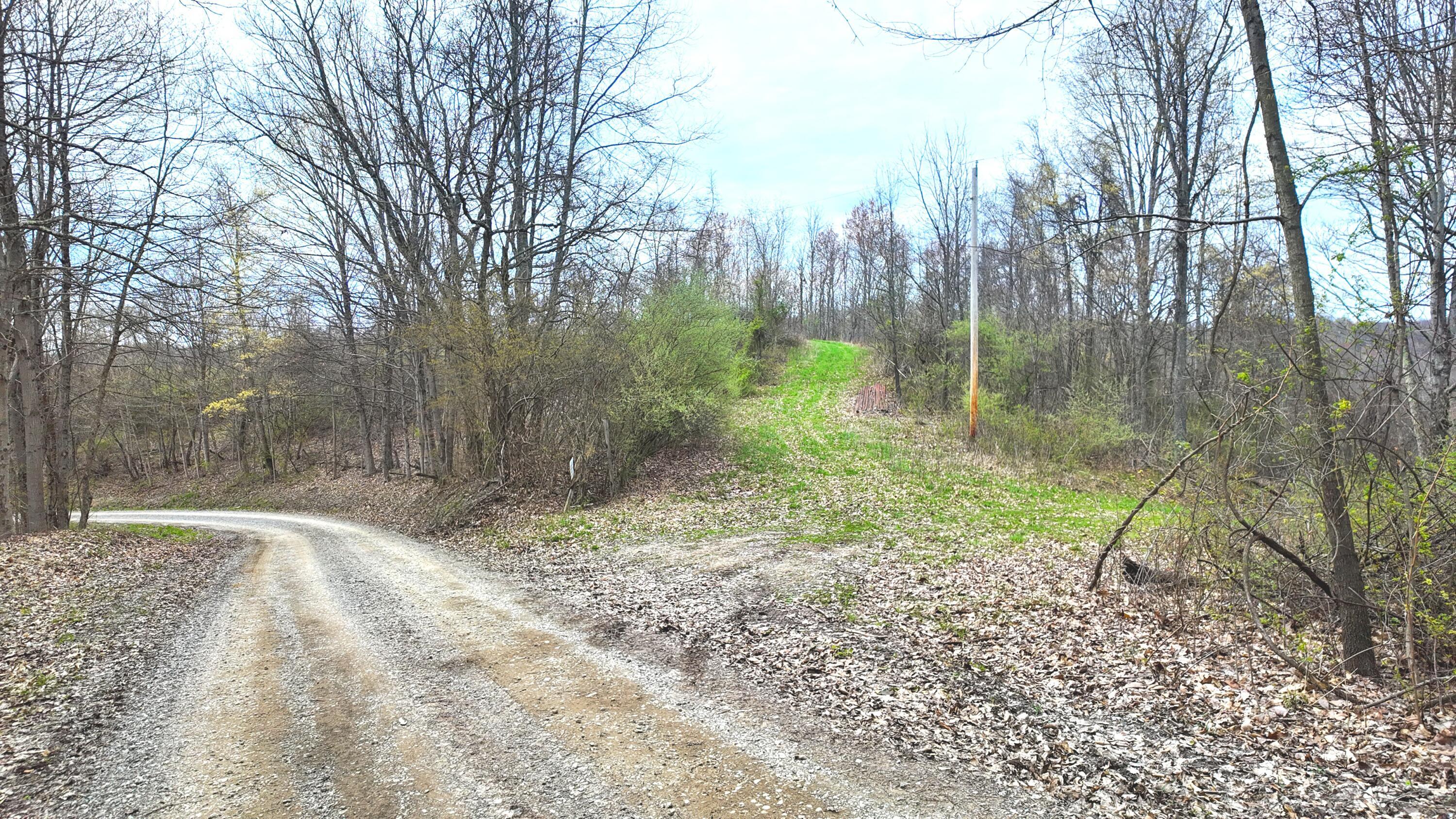 32150 Devoe Ridge Road, Lewisville, Ohio image 7