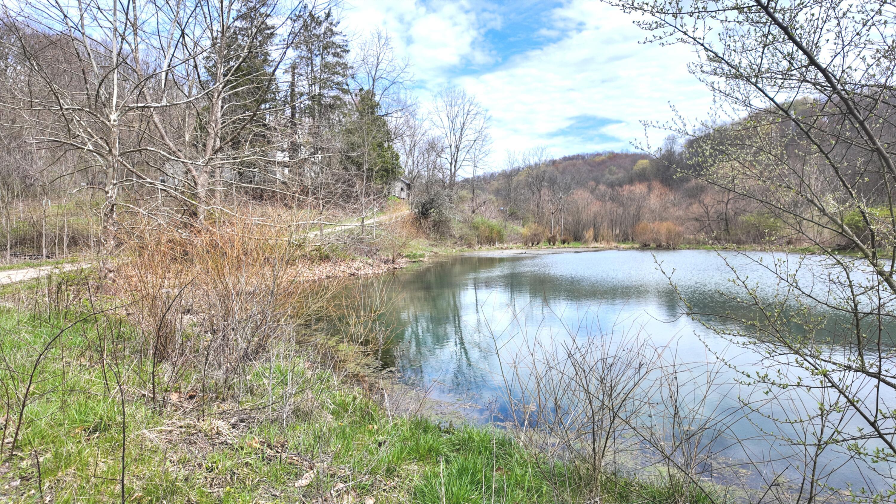 32150 Devoe Ridge Road, Lewisville, Ohio image 1