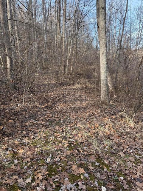 Tiny photo for 39141 State Route 684, Pomeroy, OH 45769 (MLS # 226000837)