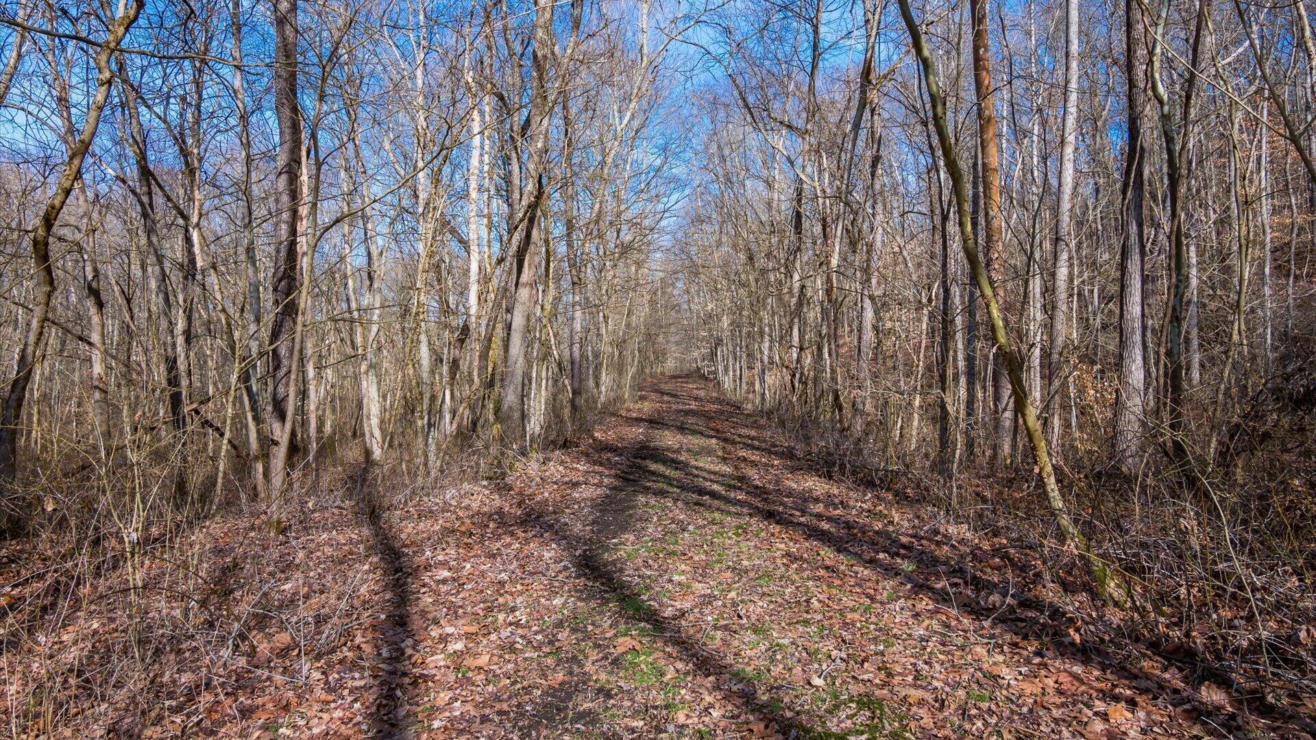 Township Road 1001, Crooksville, Ohio image 49