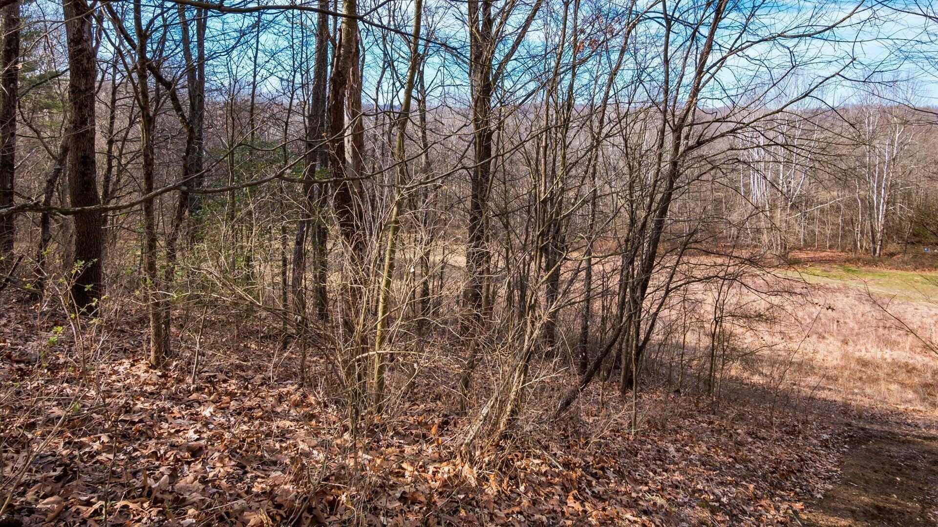 Township Road 1001, Crooksville, Ohio image 44