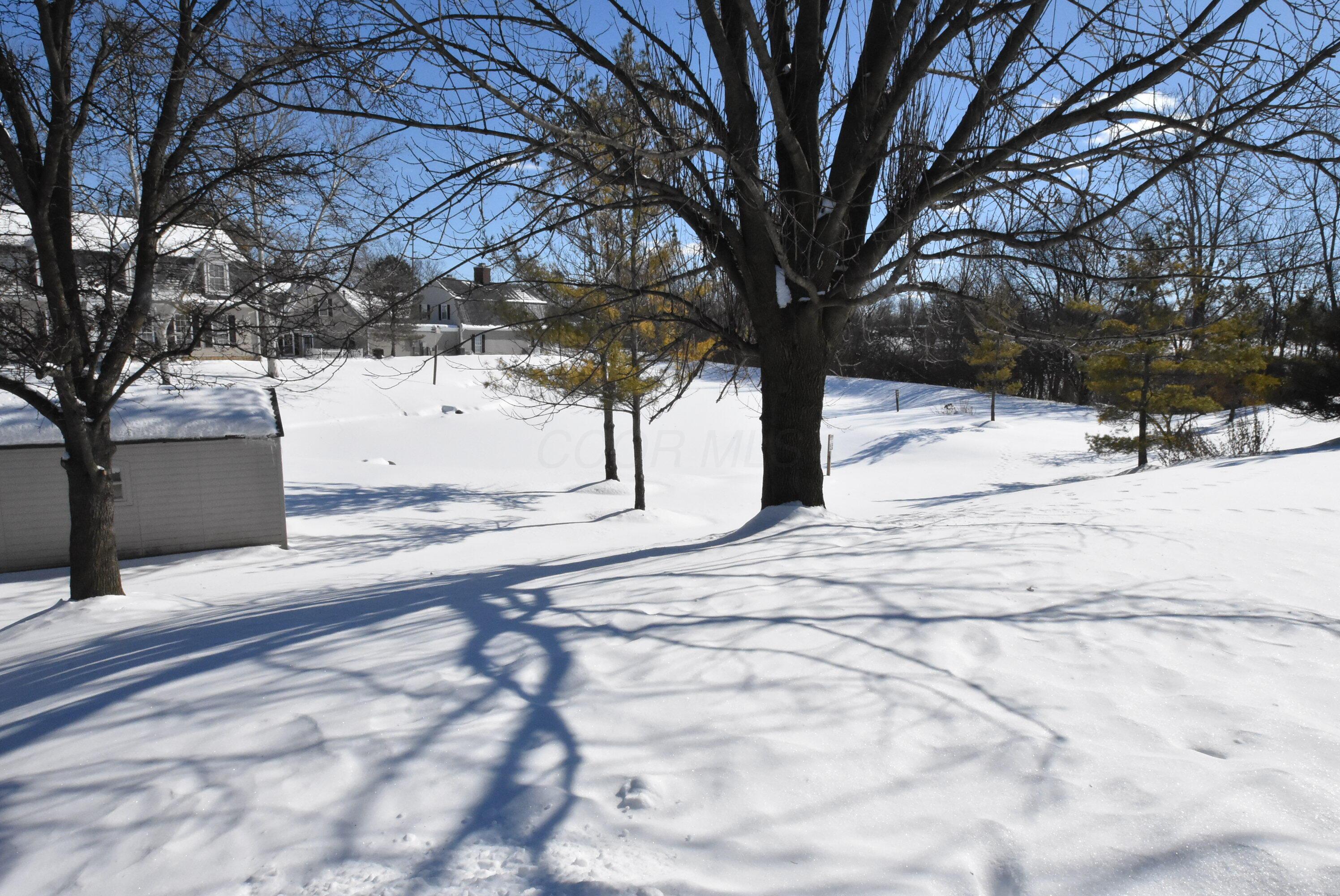 3146 Pine Manor Boulevard