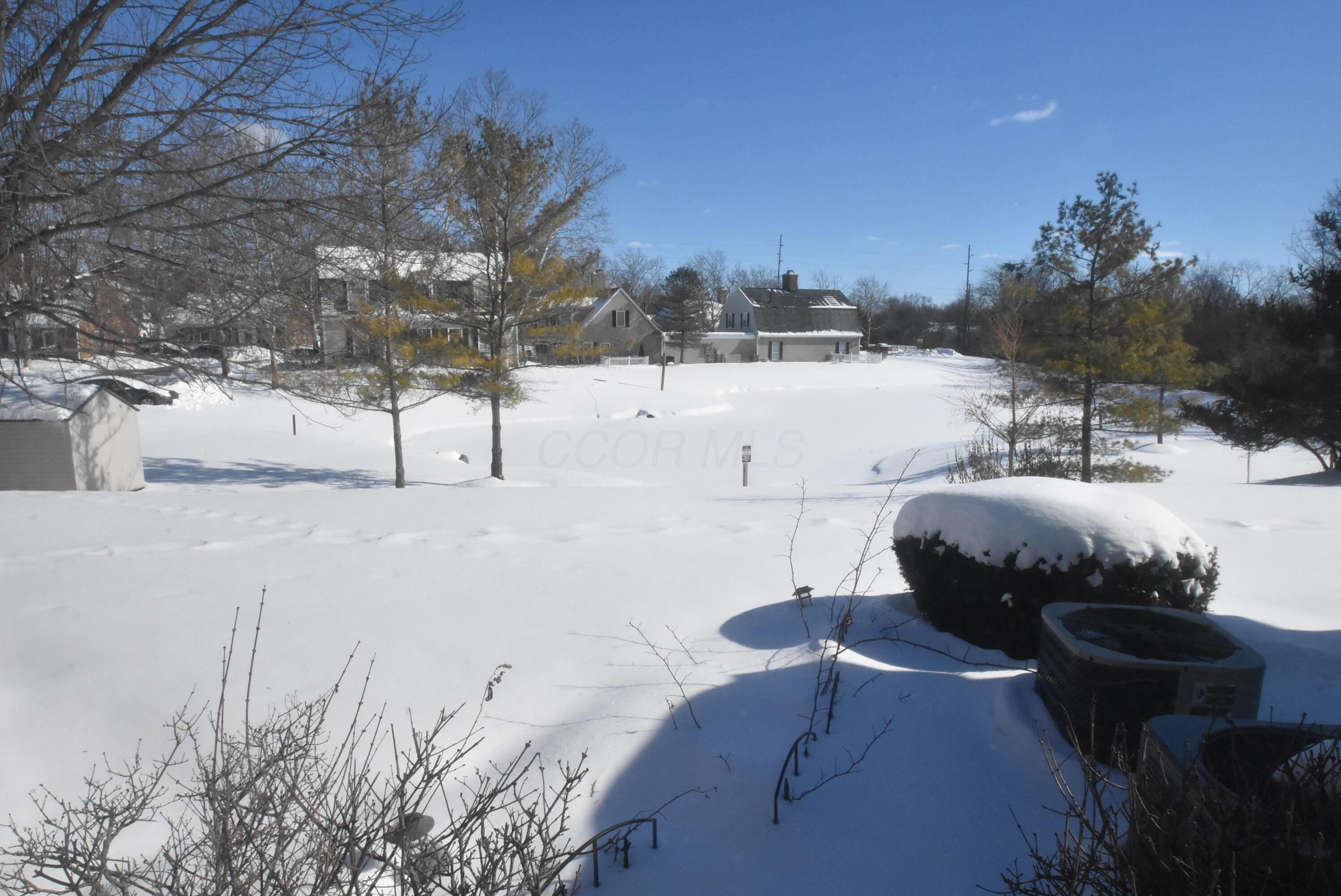 3146 Pine Manor Boulevard