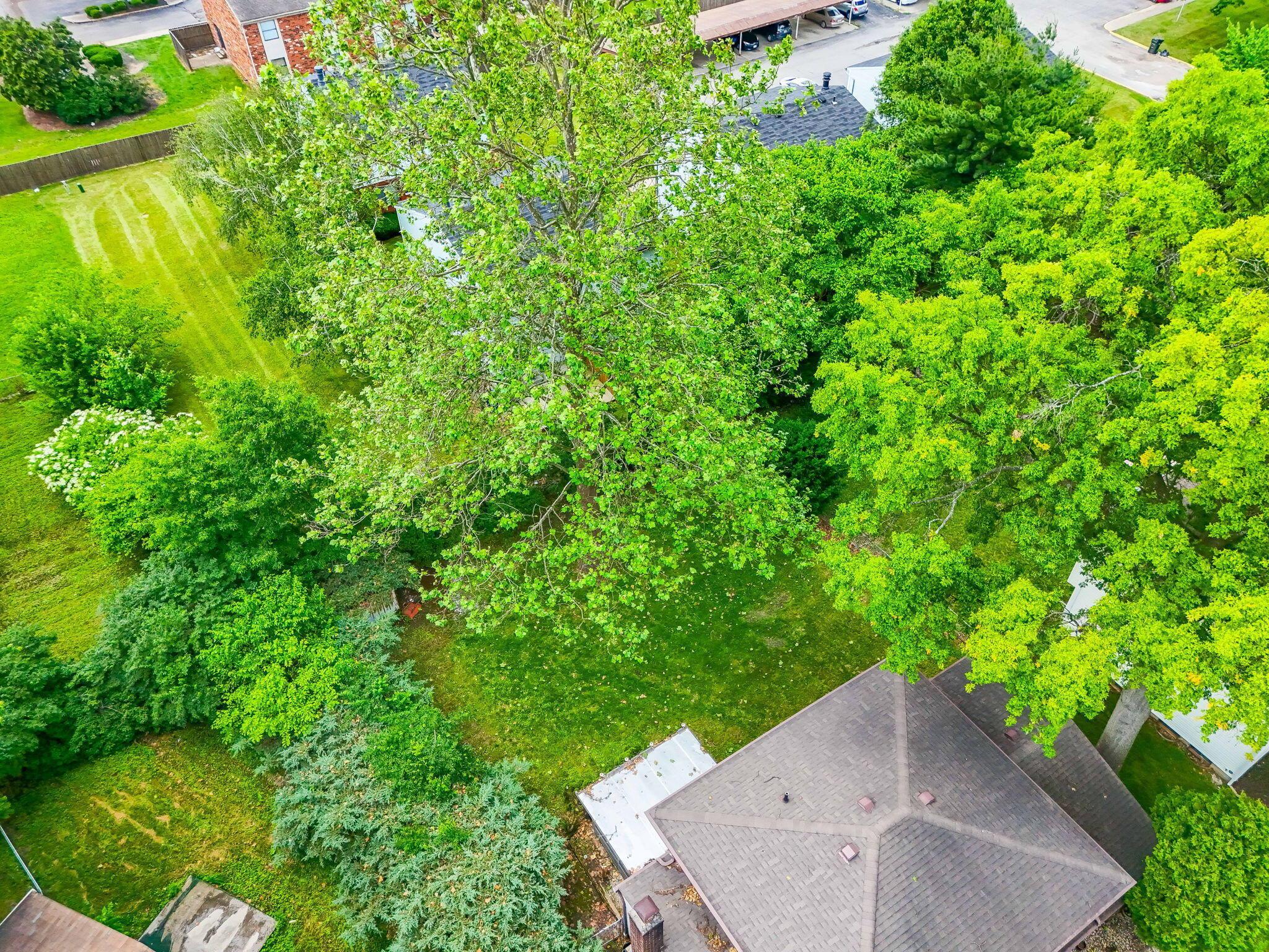 1773 Nestling Drive, Columbus, Ohio image 4