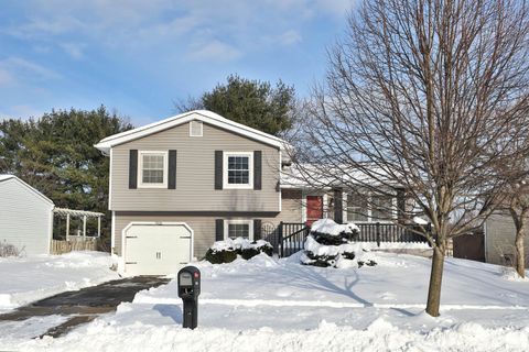 Photo of 1006 Discovery Drive, Columbus, OH 43085 (MLS # 226003073)