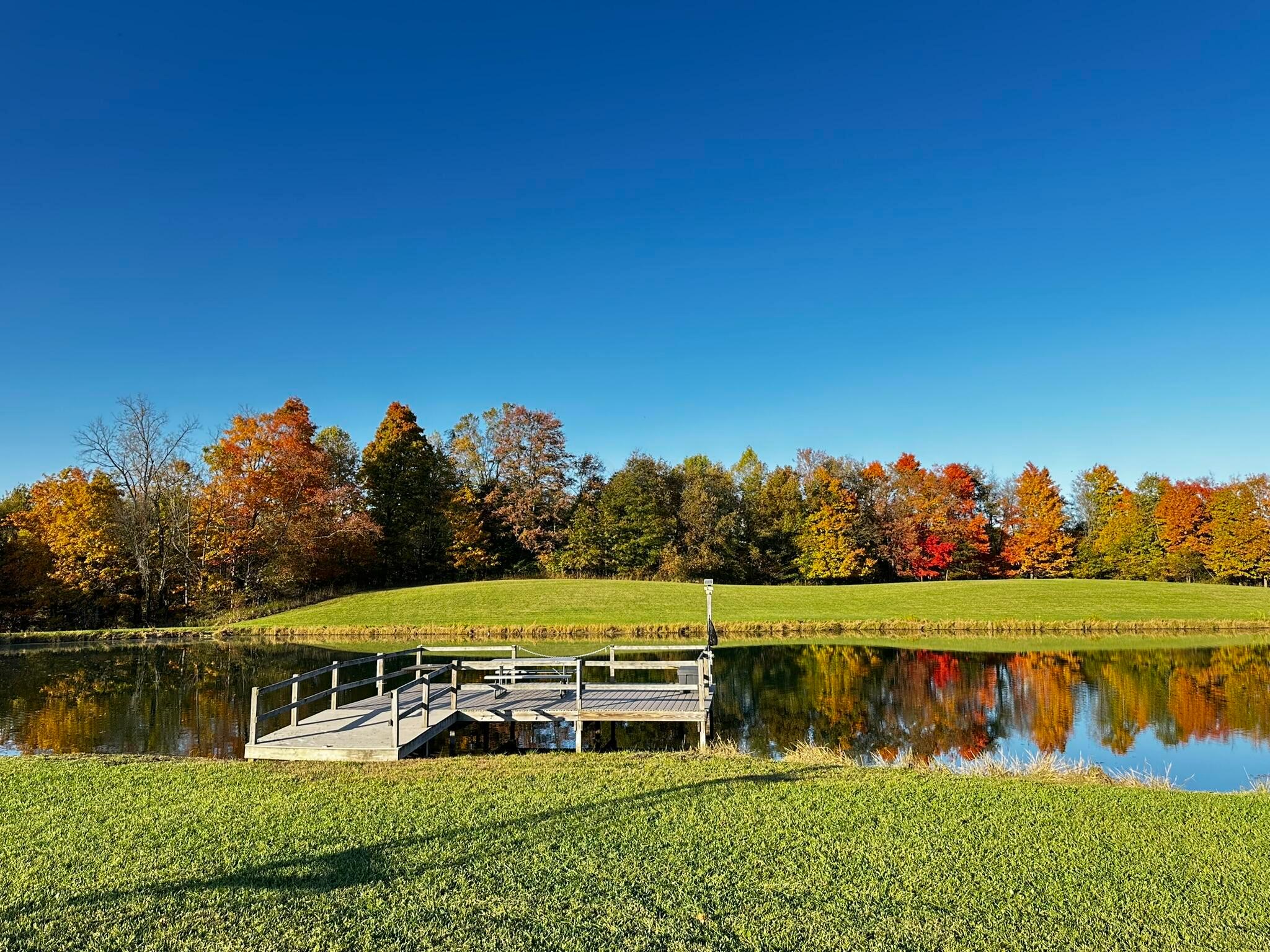 8556 Ross Road, Mansfield, Ohio image 41