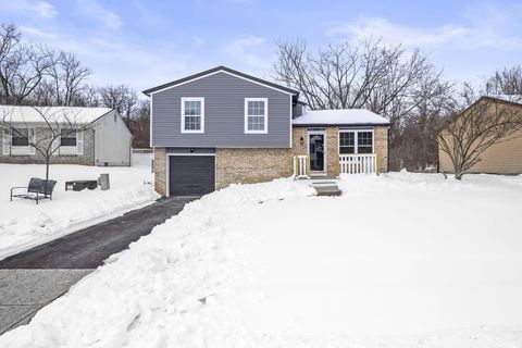 Photo of 375 Darby Court, Galloway, OH 43119 (MLS # 226003401)