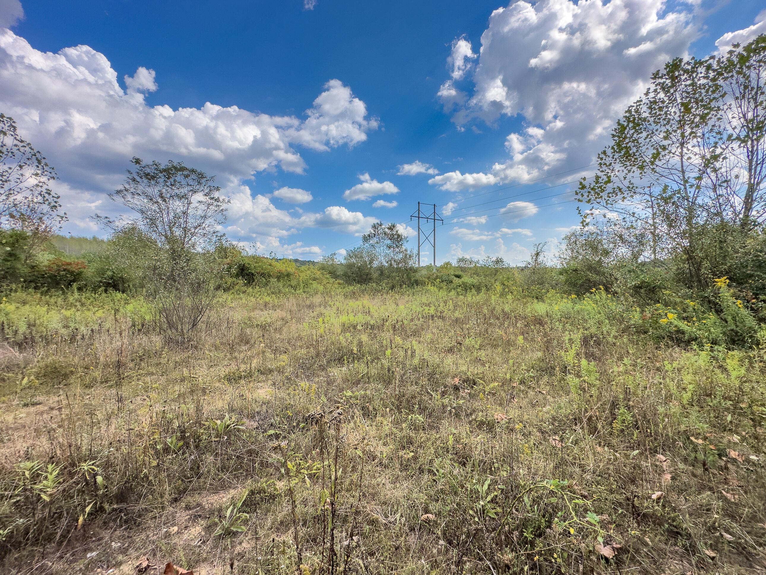 Thompsonville Rd Road, Wilkesville, Ohio image 19