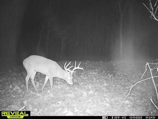 Thompsonville Rd Road, Wilkesville, Ohio image 37