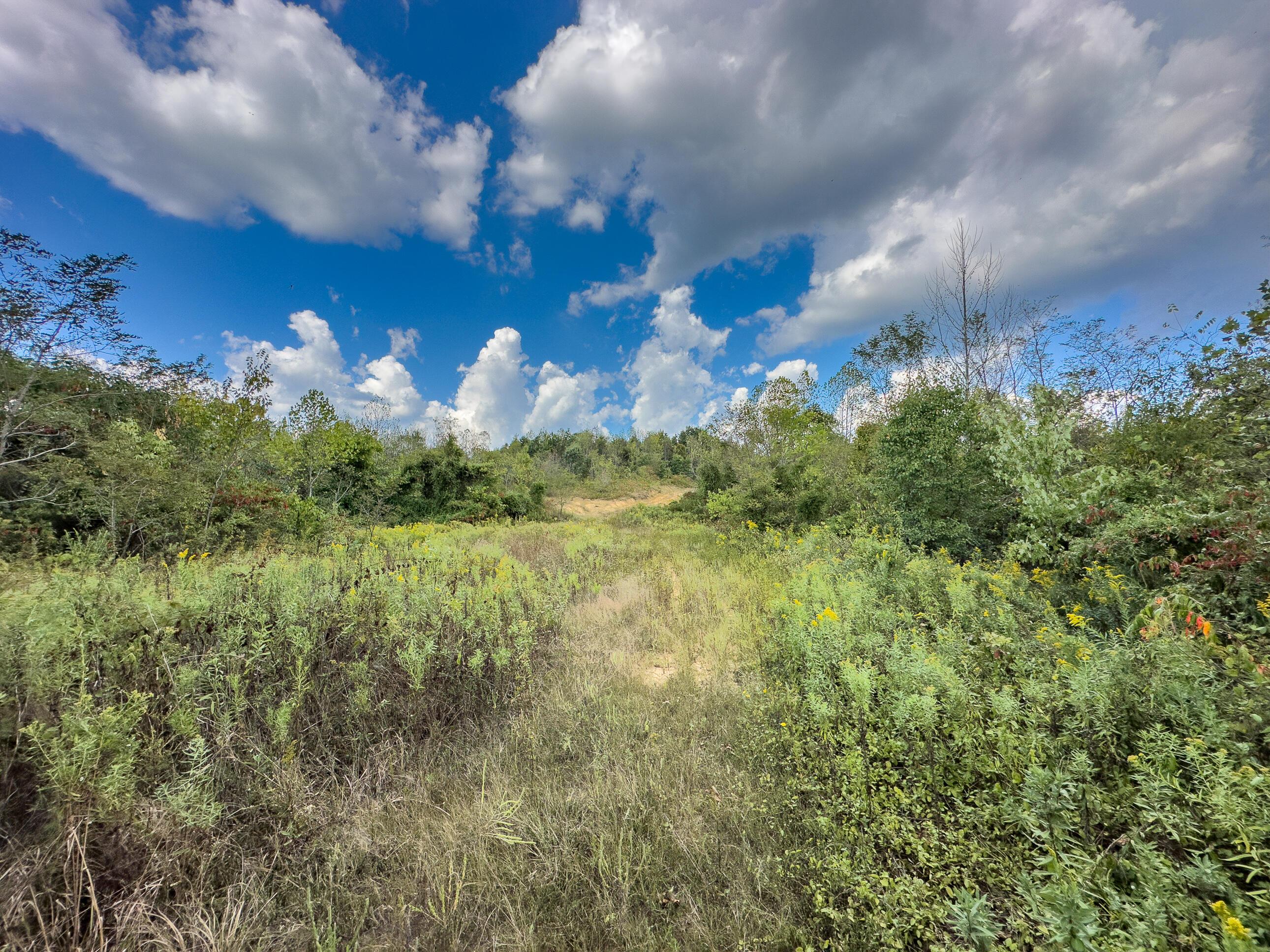 Thompsonville Rd Road, Wilkesville, Ohio image 20