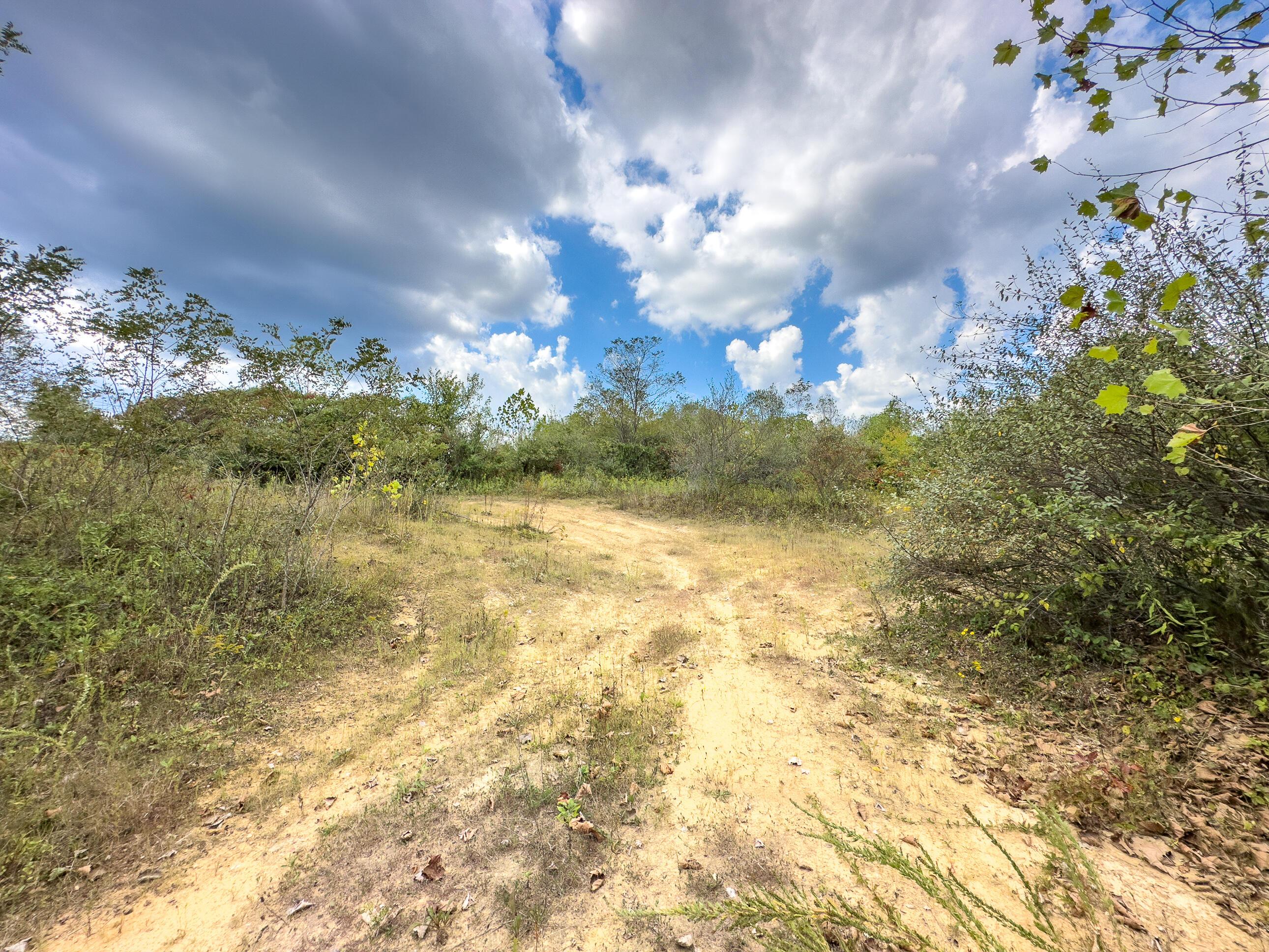 Thompsonville Rd Road, Wilkesville, Ohio image 10
