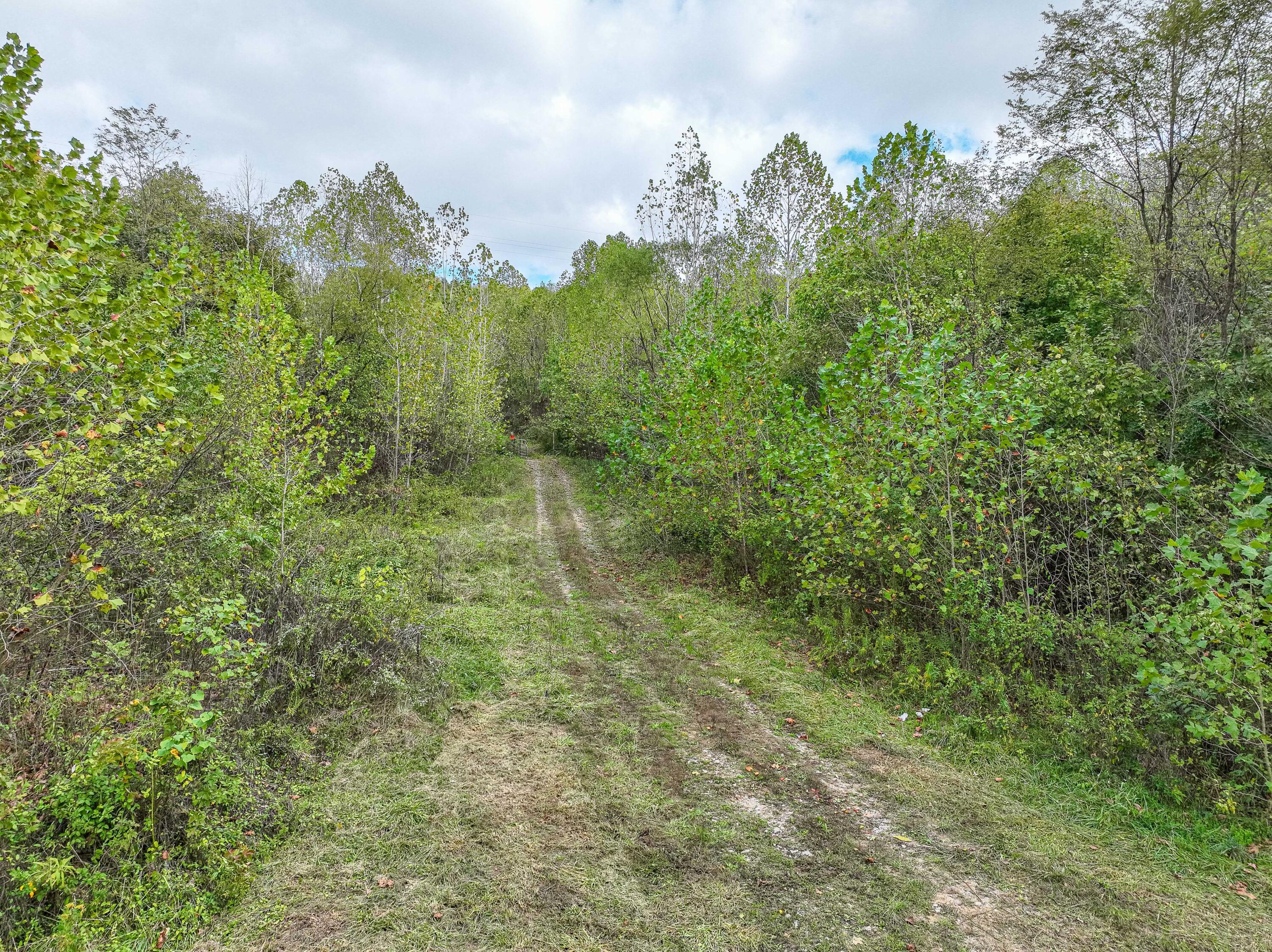 Thompsonville Rd Road, Wilkesville, Ohio image 42