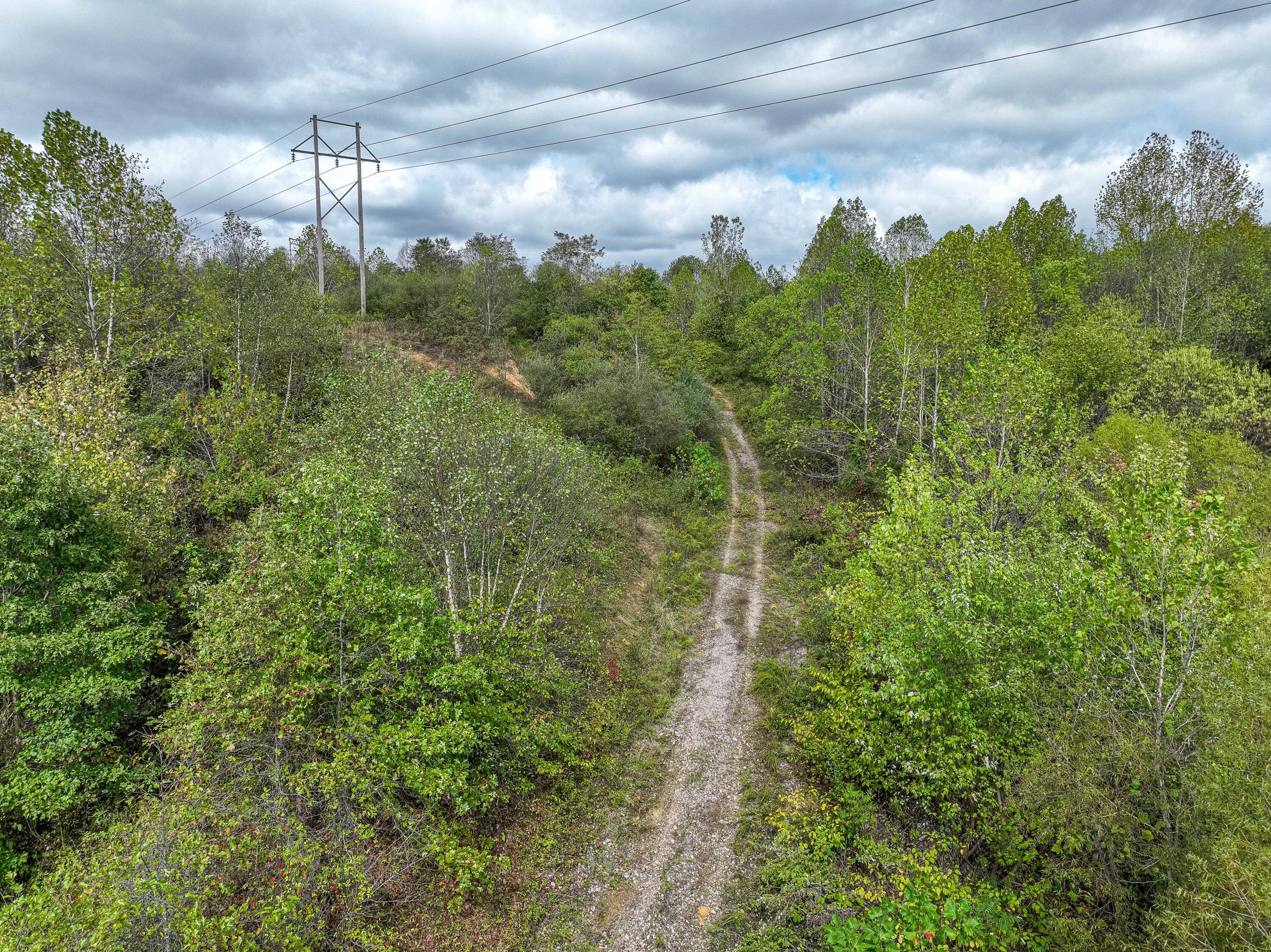 Thompsonville Rd Road, Wilkesville, Ohio image 44