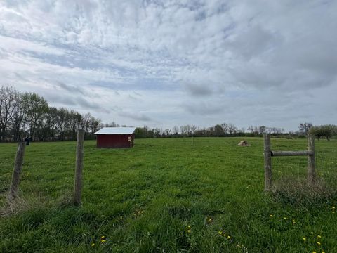 MLS: 225013774