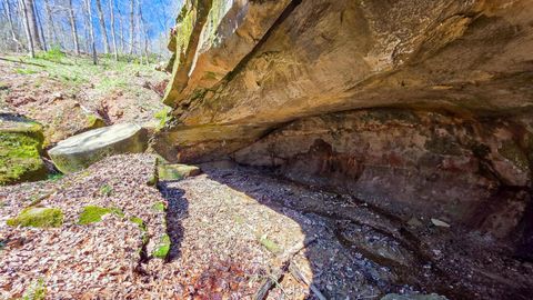 Photo of 0 Remely Road (Millstone Caves Tract 1) #(Millstone Caves Tra, Cutler, OH 45724 (MLS # 226014239)