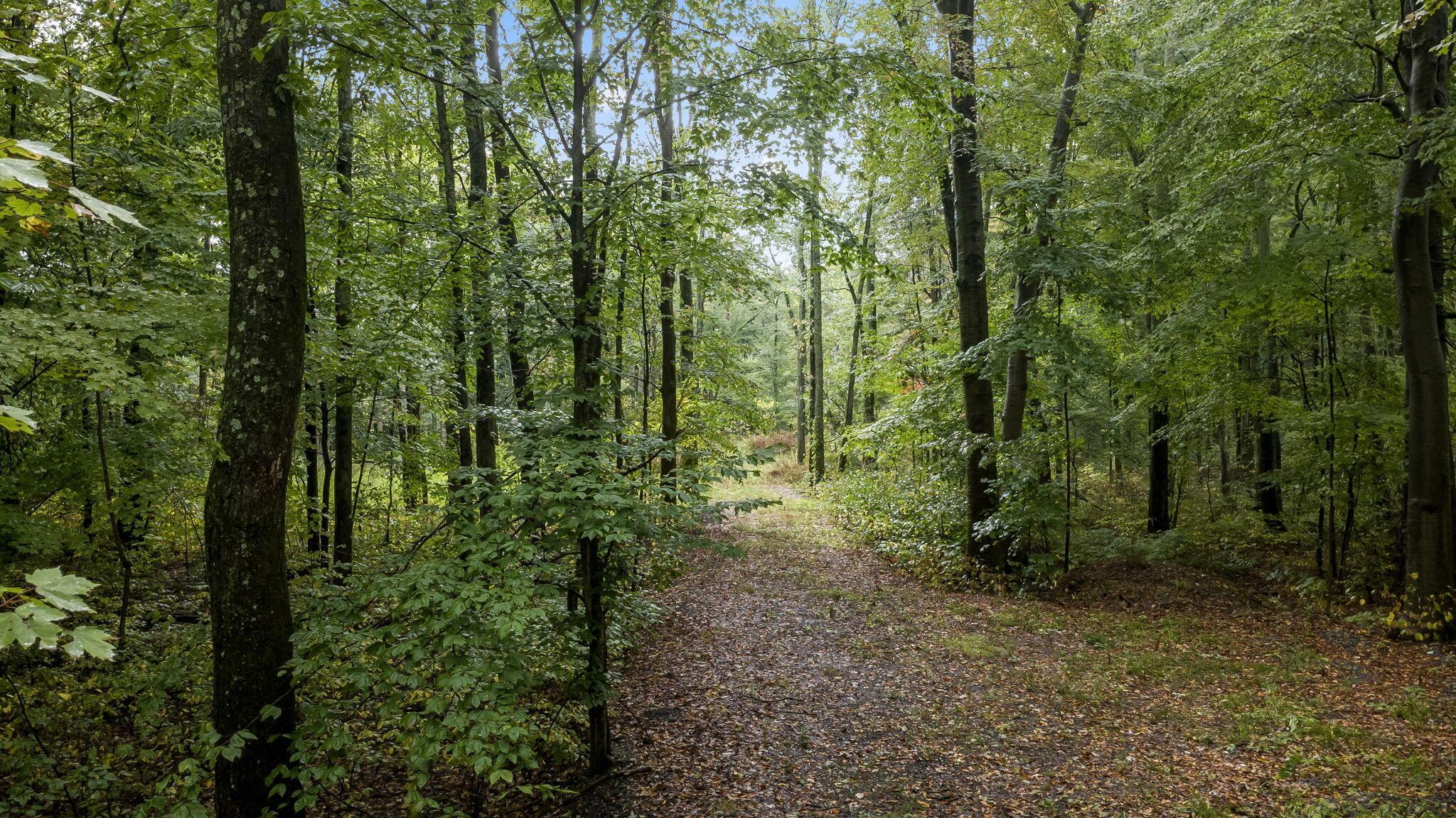 New Albany, Ohio 43054, United States, ,Land,Active,214269