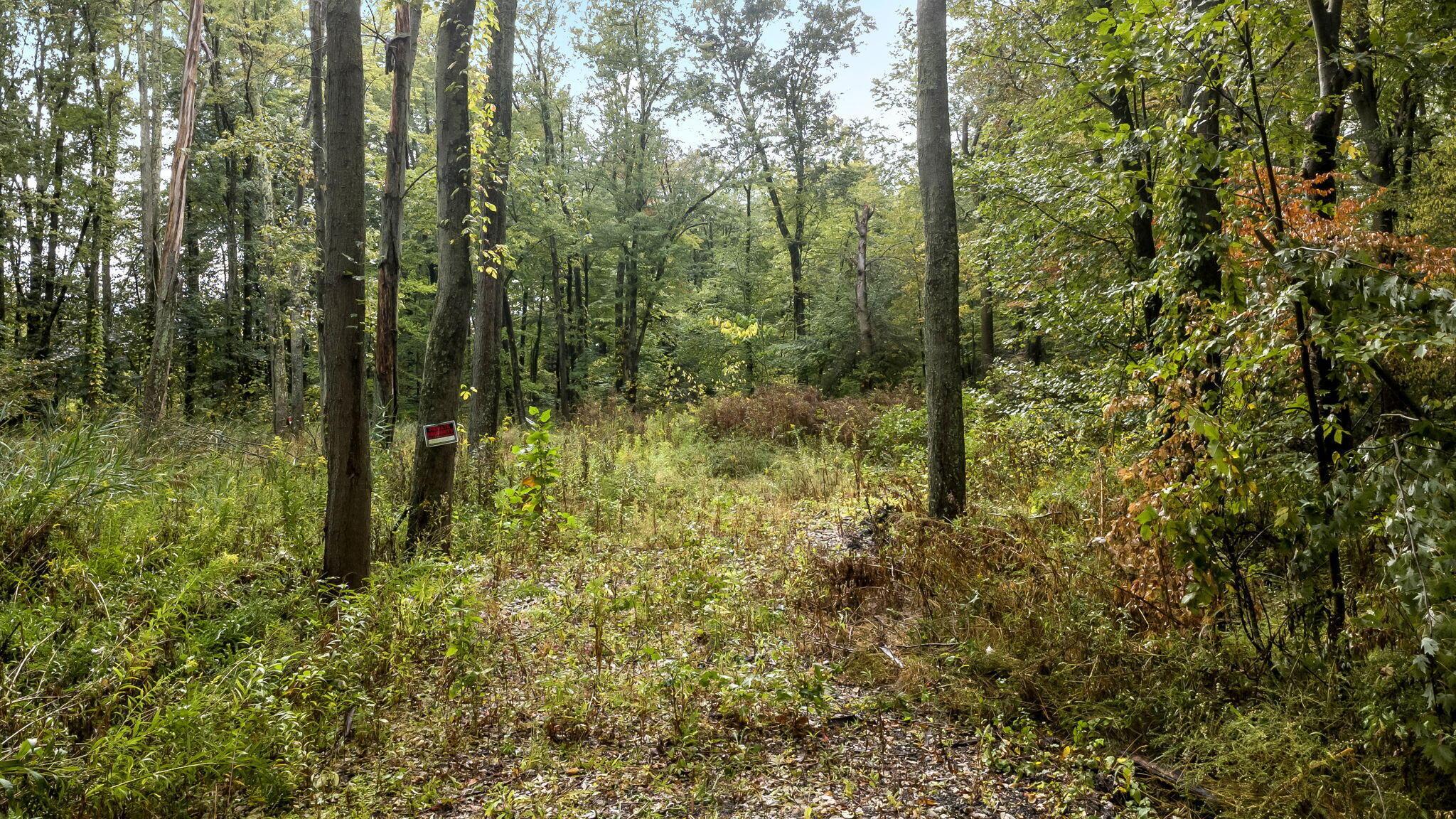 New Albany, Ohio 43054, United States, ,Land,Active,214269