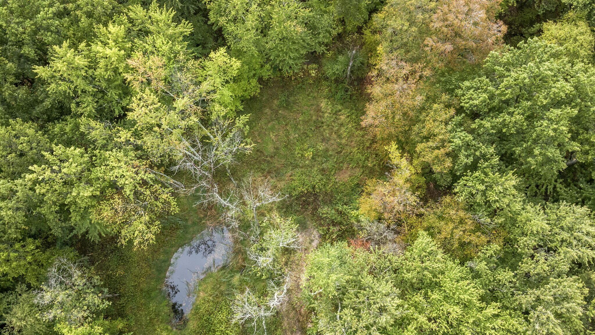 New Albany, Ohio 43054, United States, ,Land,Active,214269