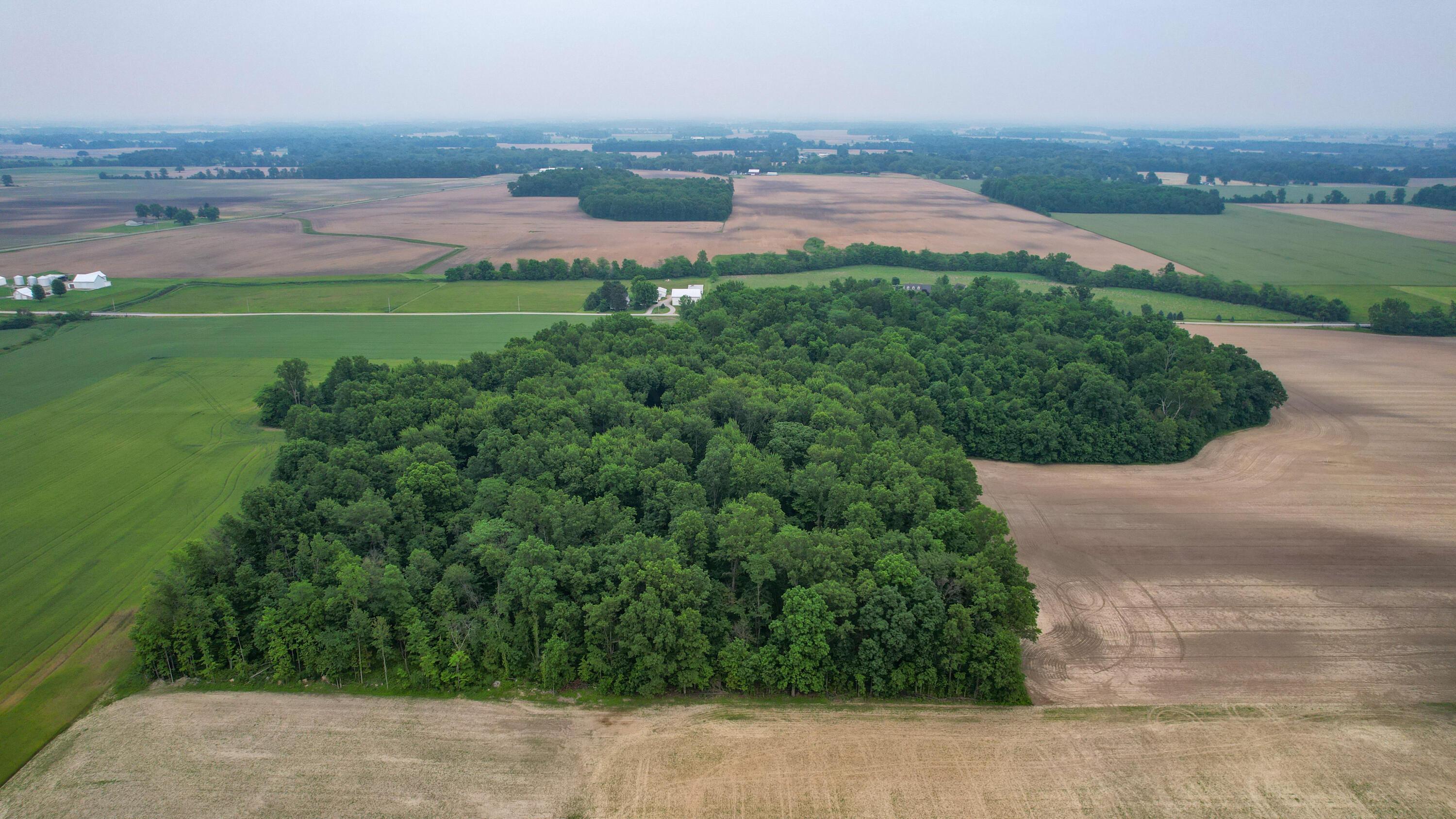 Mautz-yeager Road, Marion, Ohio image 6