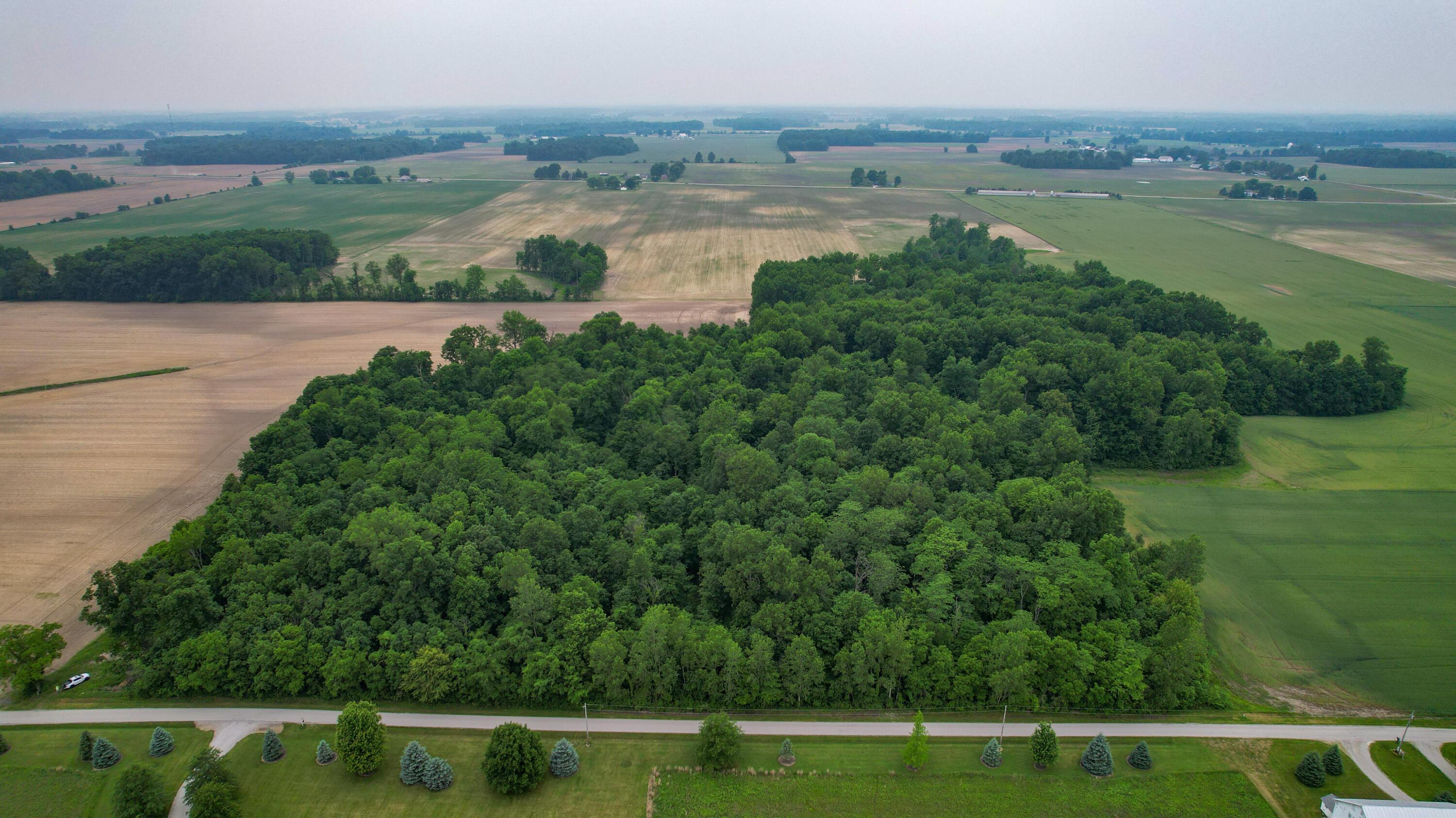 Mautz-yeager Road, Marion, Ohio image 12