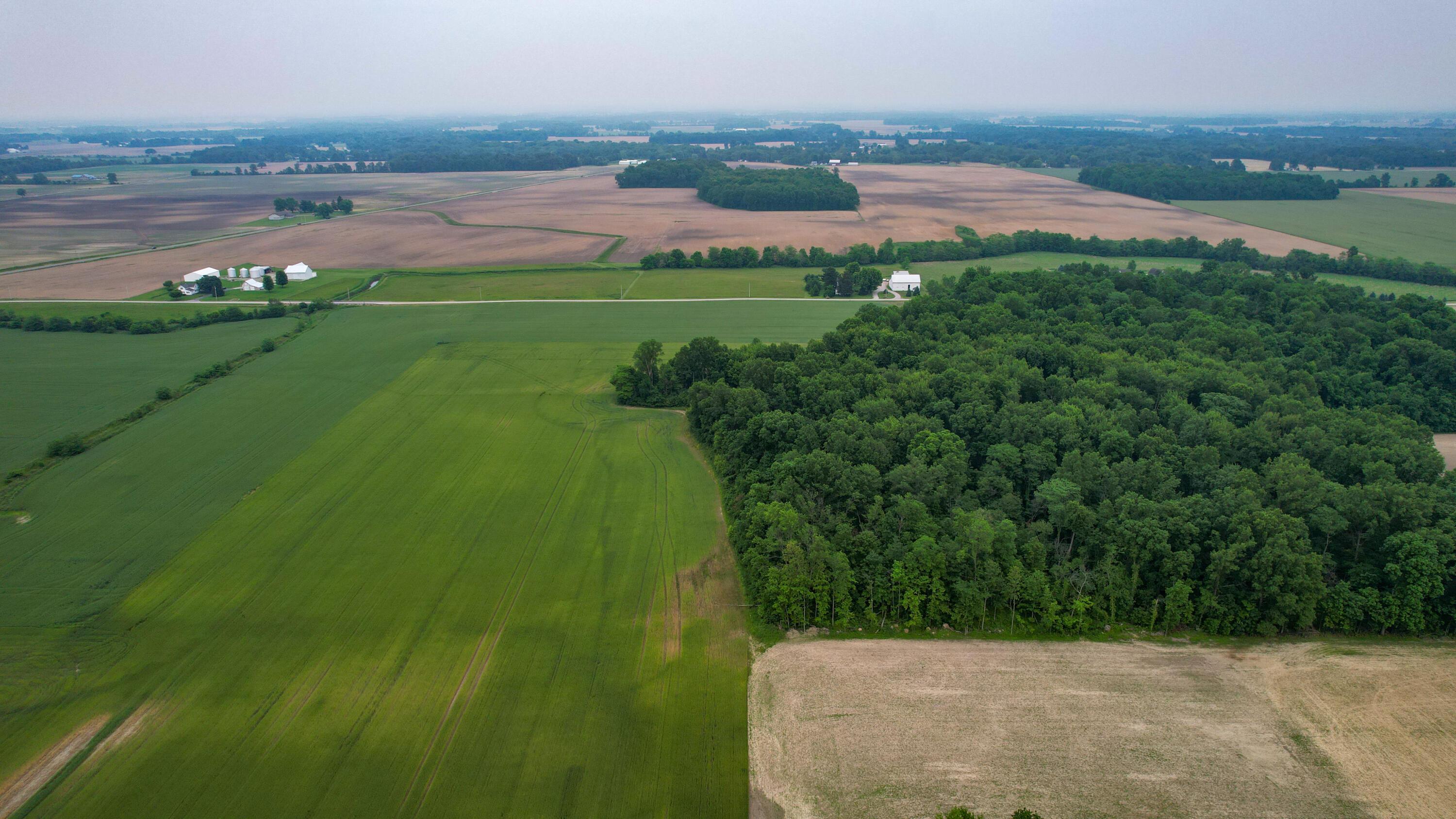 Mautz-yeager Road, Marion, Ohio image 7