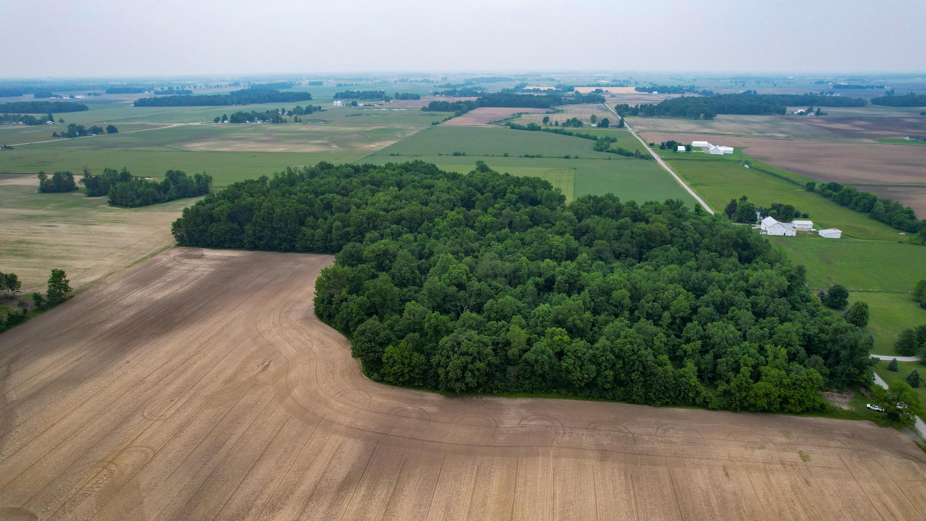 Mautz-yeager Road, Marion, Ohio image 4