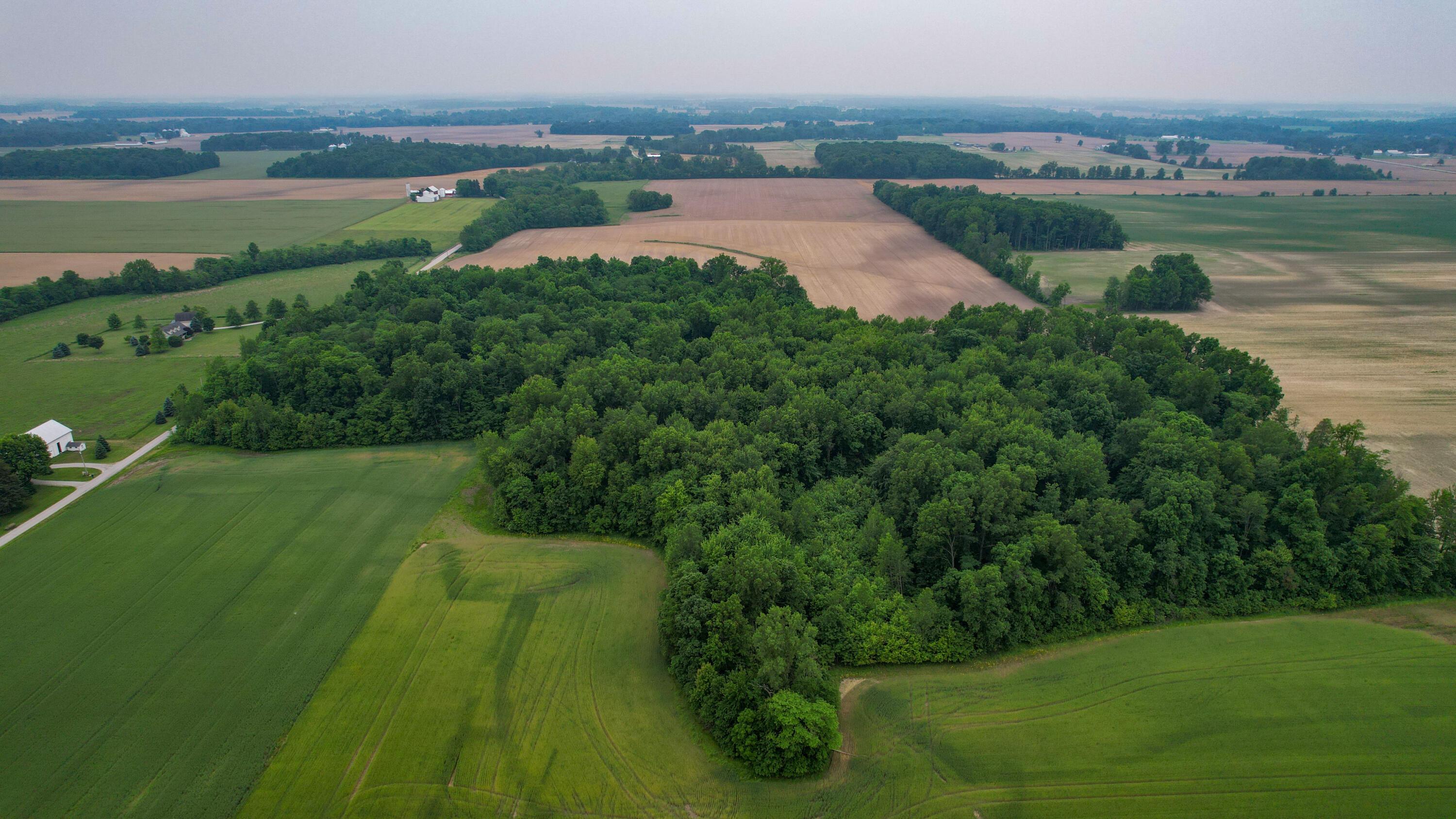 Mautz-yeager Road, Marion, Ohio image 8