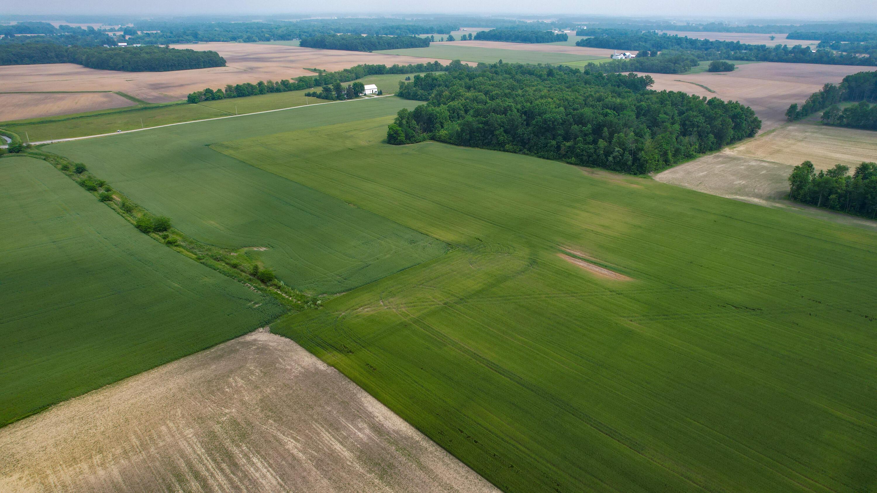 Mautz-yeager Road, Marion, Ohio image 16