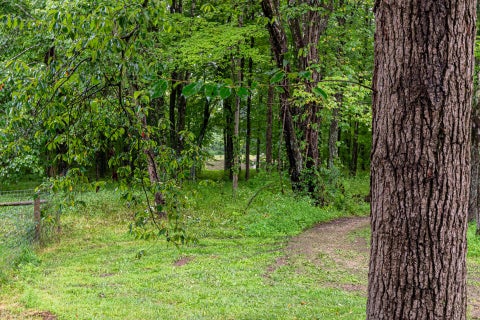 Tiny photo for 28091 Mckee Road, Frazeysburg, OH 43822 (MLS # 226031574)