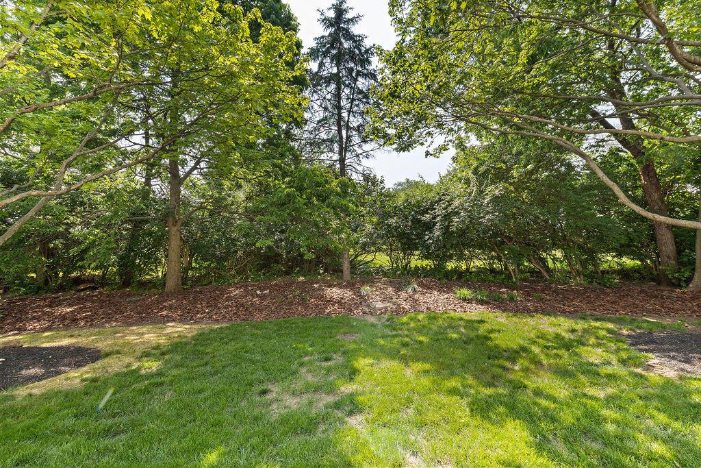 7113 Timberview Drive, Dublin, Ohio image 49