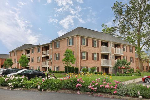 Featured picture for the property 223022395
