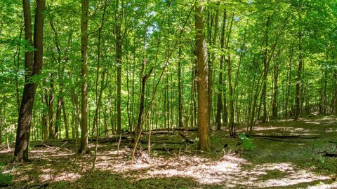 Photo of 0 Canyon Road, Granville, OH 43023 (MLS # 223028253)