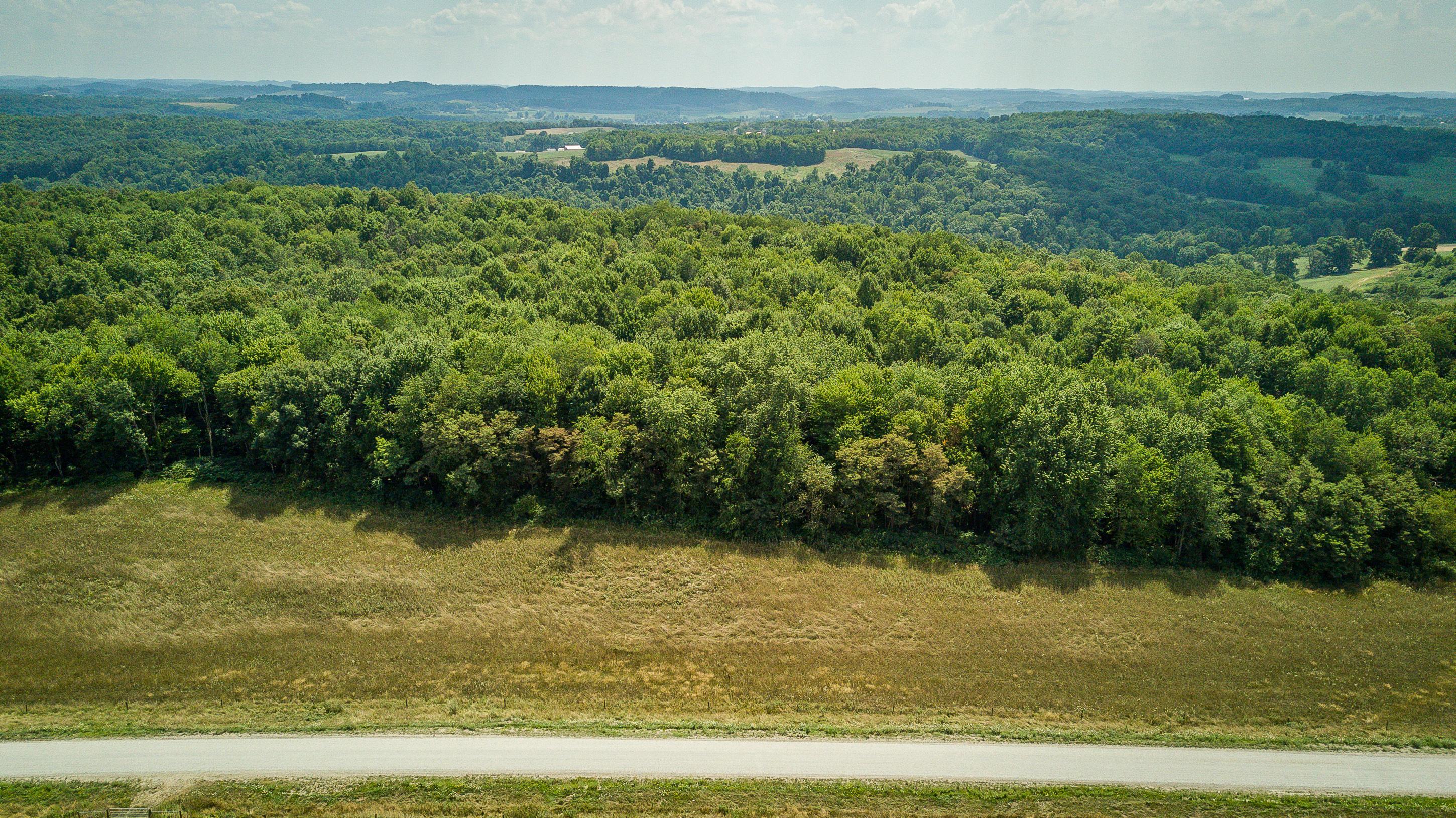 Cherry Run Road, Strasburg, Ohio image 1