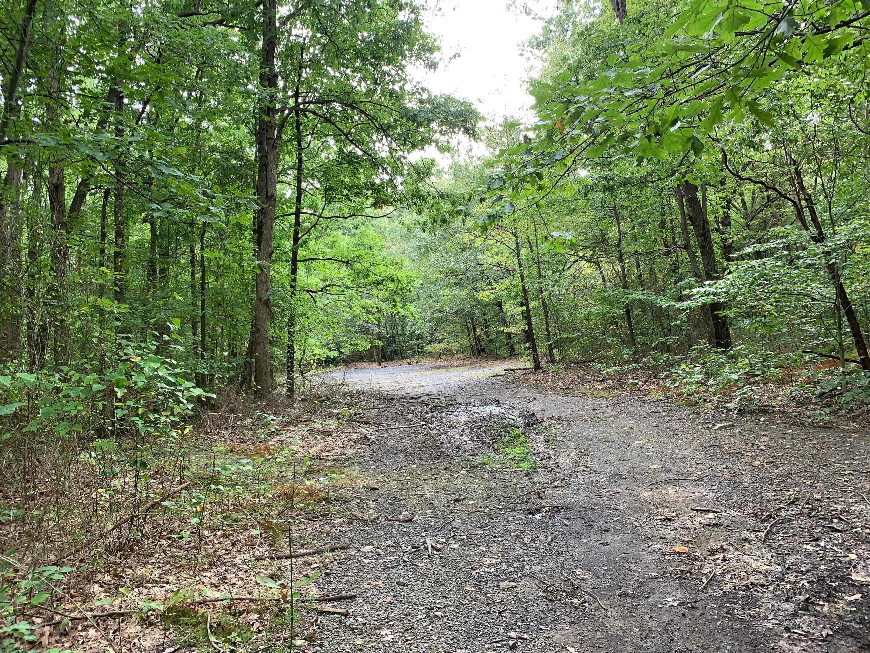 Cherry Run Road, Strasburg, Ohio image 10