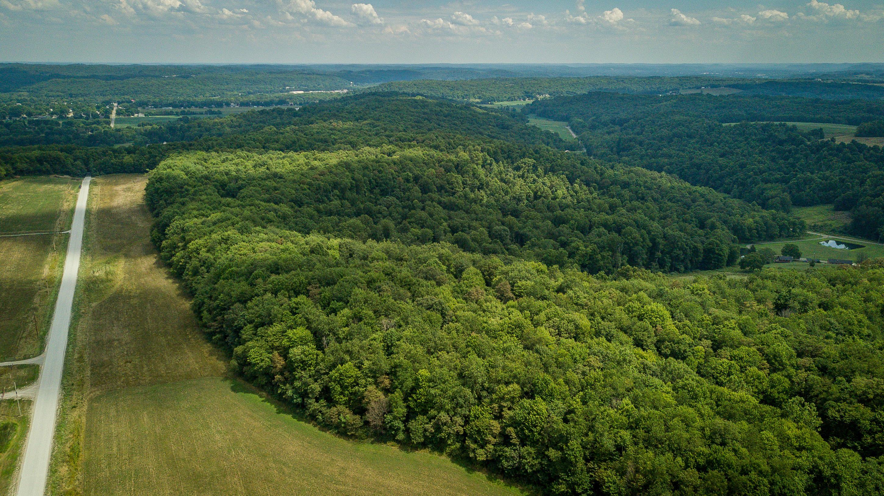 Cherry Run Road, Strasburg, Ohio image 3