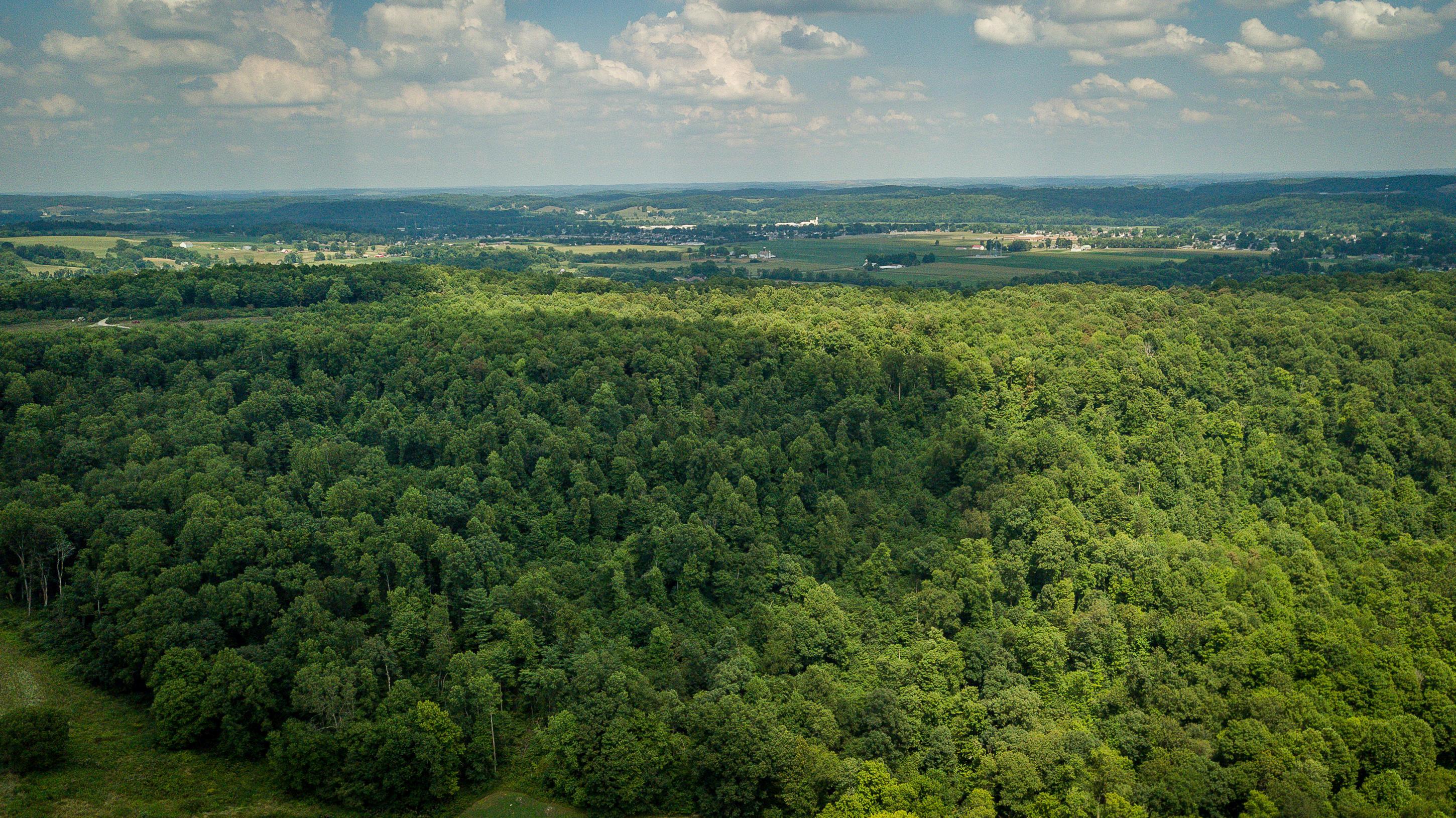 Cherry Run Road, Strasburg, Ohio image 2