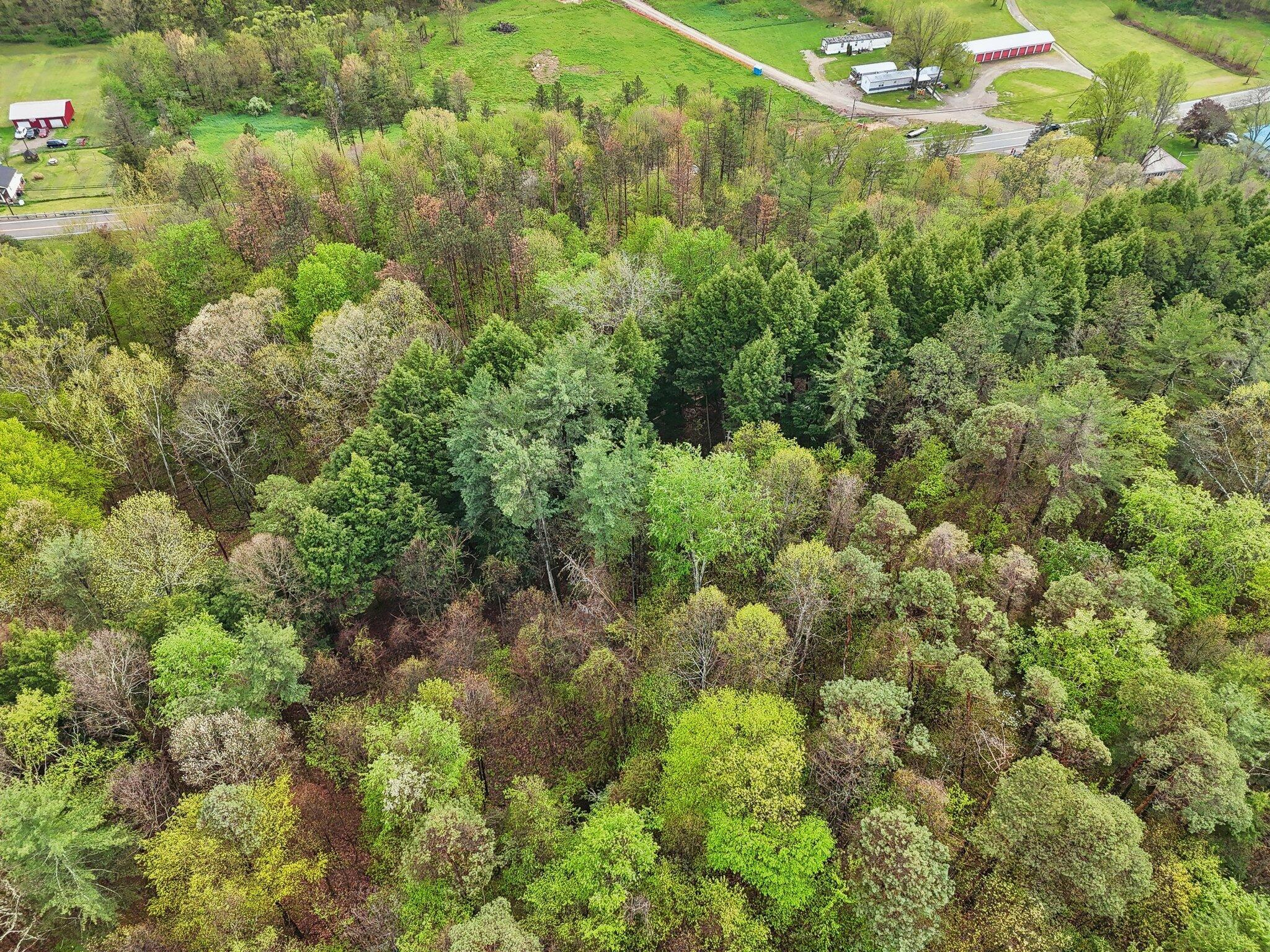 10752 State Route 37, New Lexington, Ohio image 16