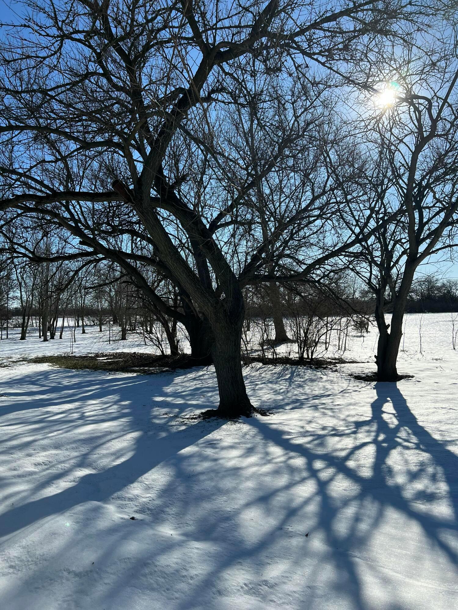 Scioto Darby Road, Orient, Ohio image 6