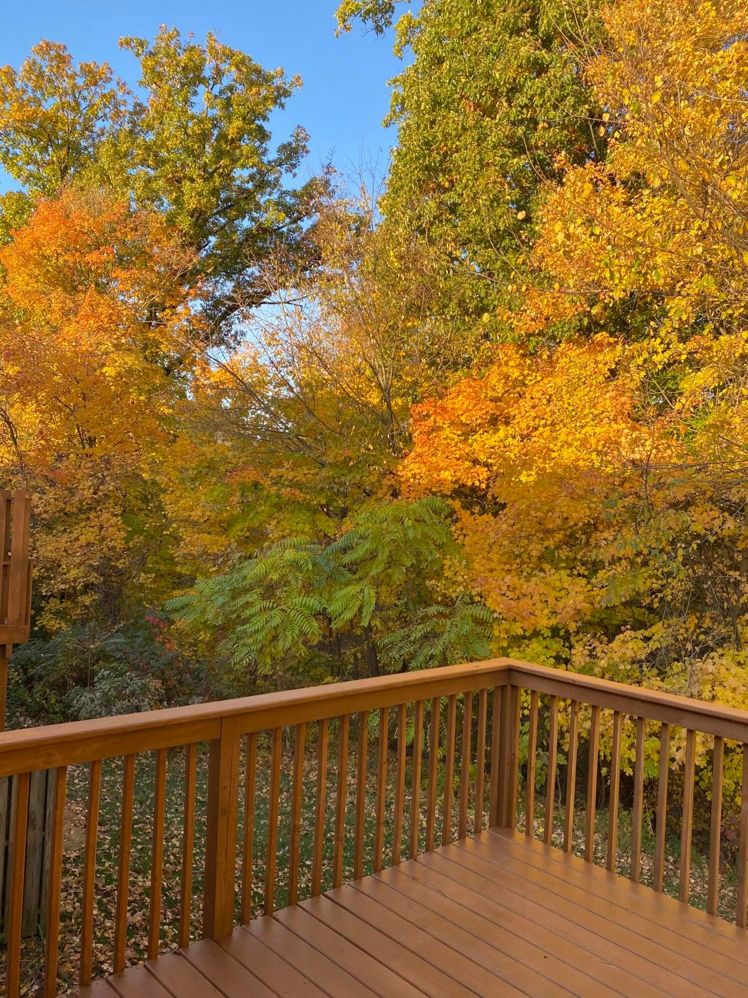 247 Brueghel, Blacklick, Ohio image 27